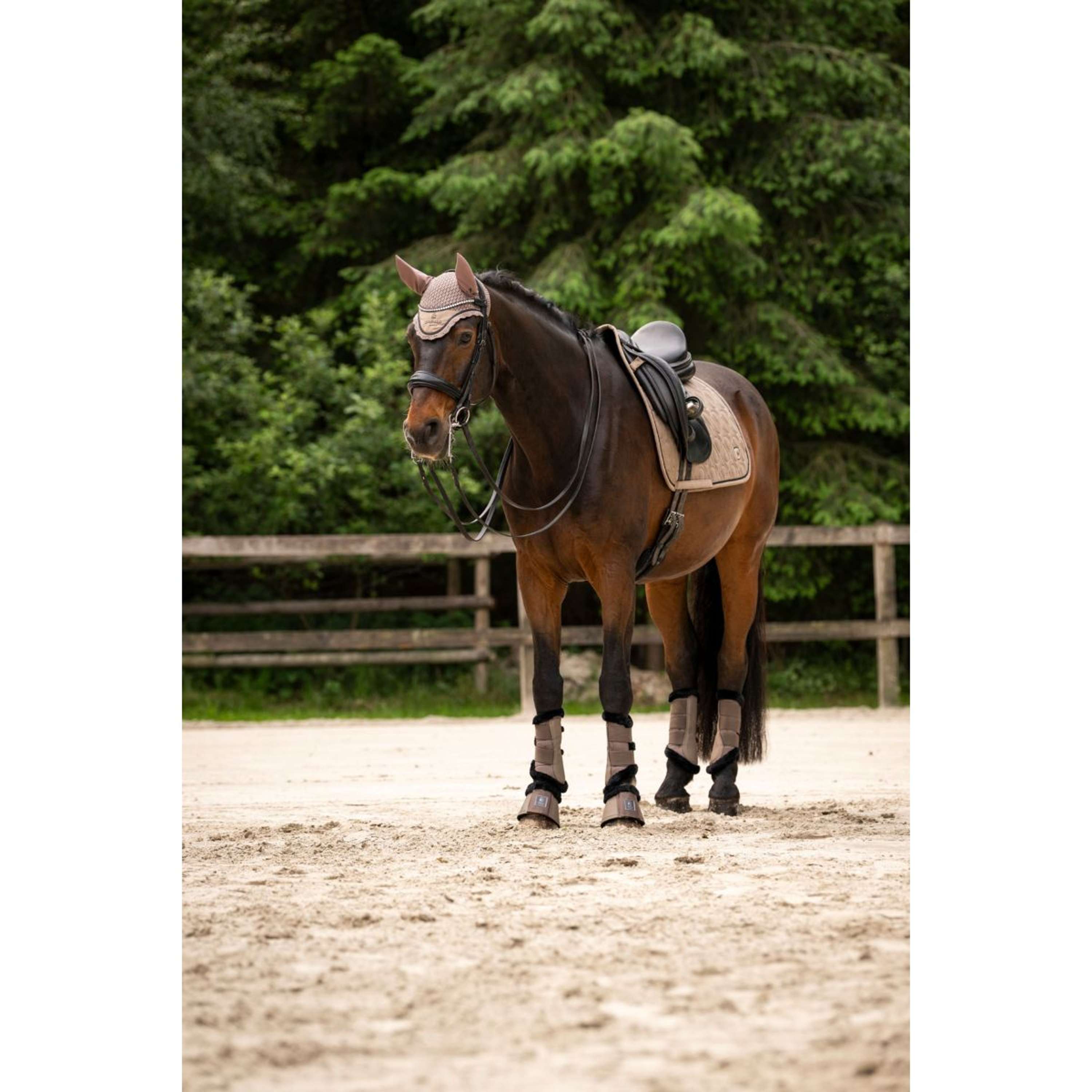 Cavallo Ear Bonnet CavalPerla Mocha Latte