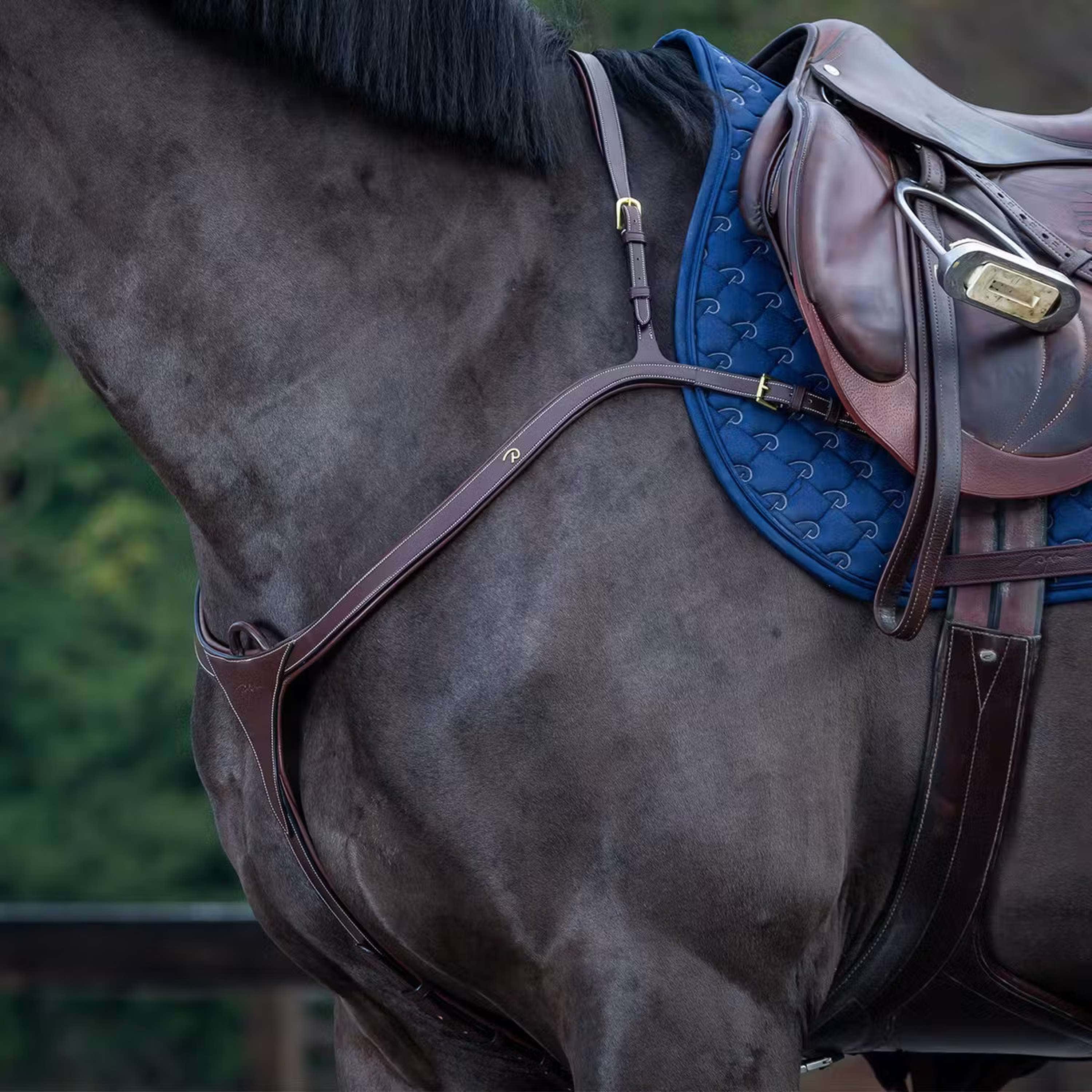 Dyon Chest Buckle Long Bridge Brown/Messing