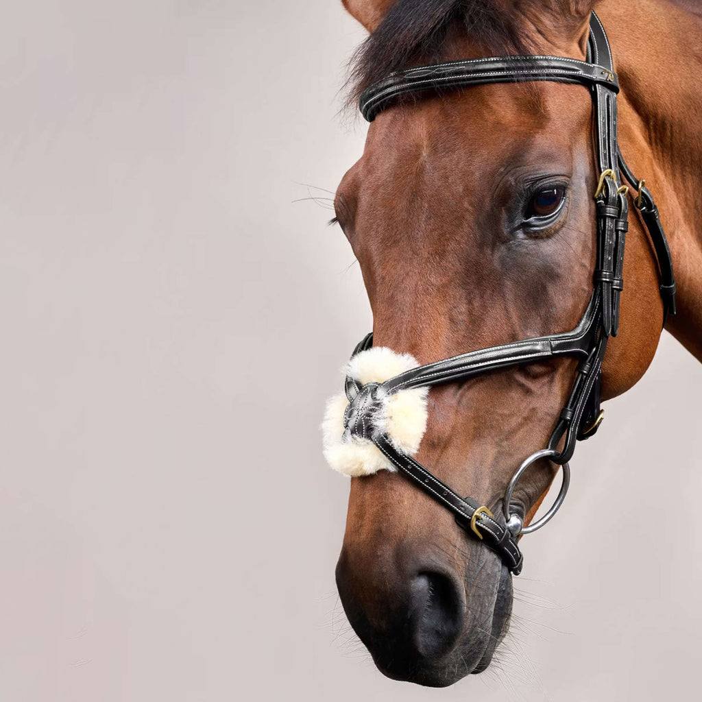 Dyon Bridle Fig 8 Black