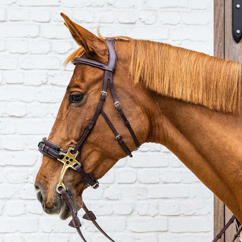 Dyon Bridle Hackamore Brown