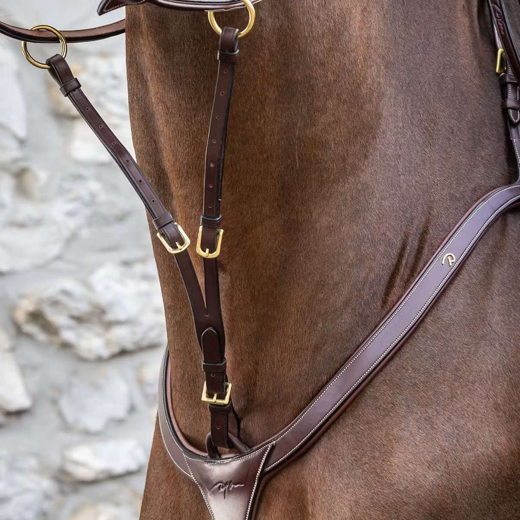 Dyon Chest Harness Martingale Running Brown