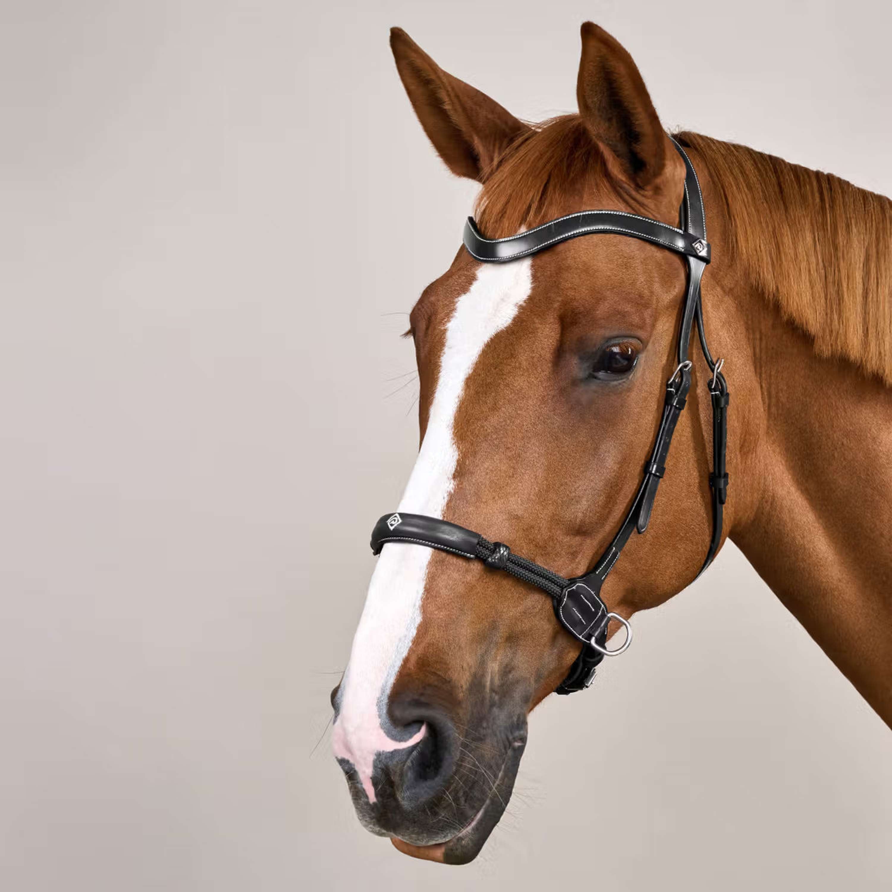 Dyon Bitless Bridle Black