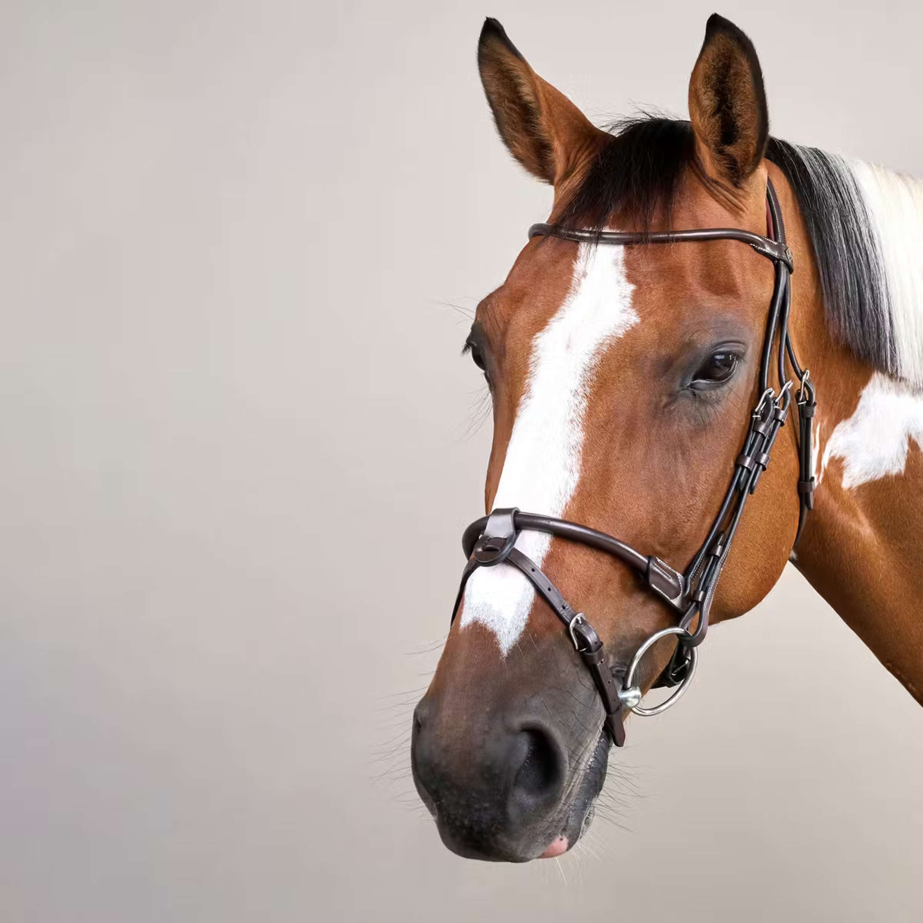 Dyon Bridle Round Leather Brown