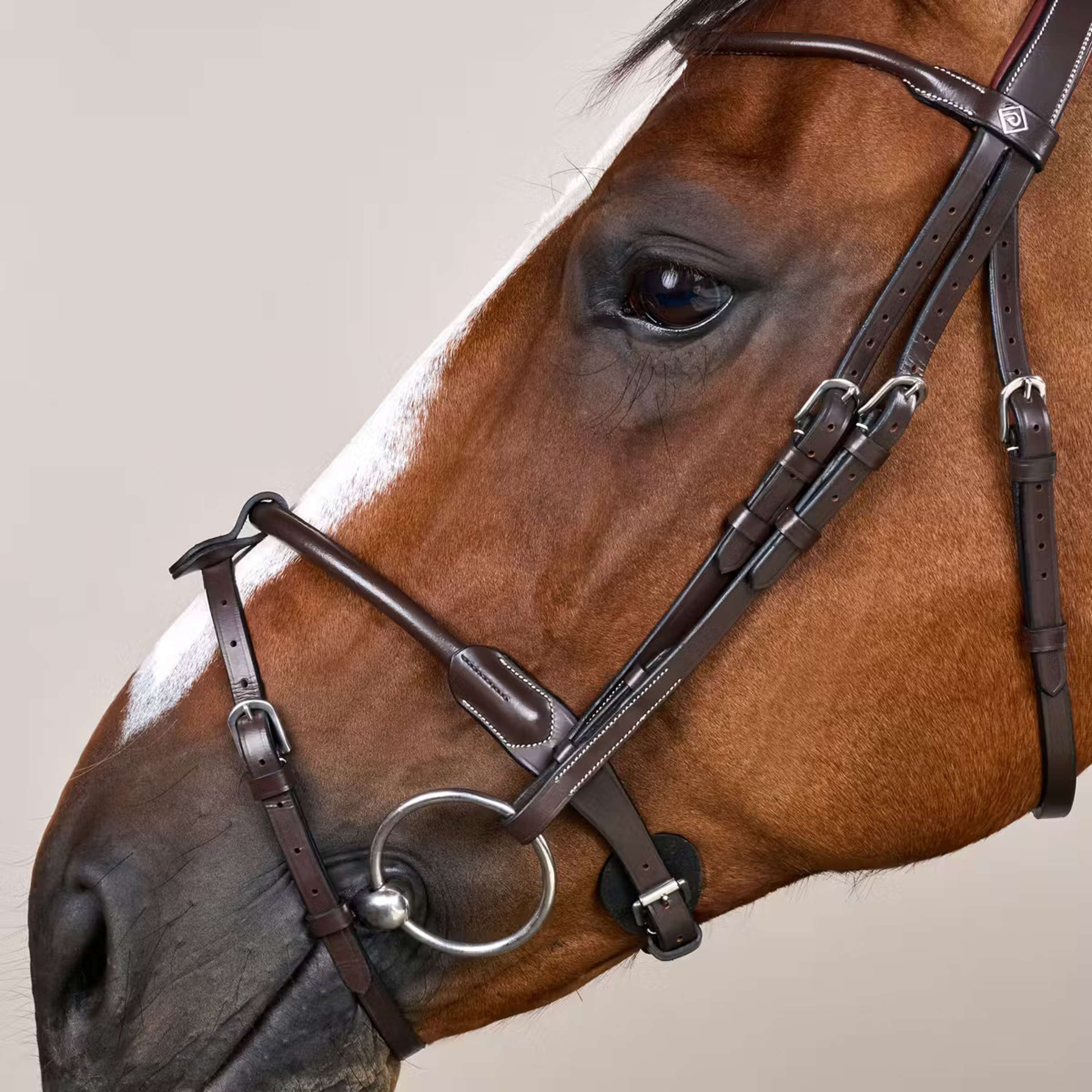 Dyon Bridle Round Leather Brown