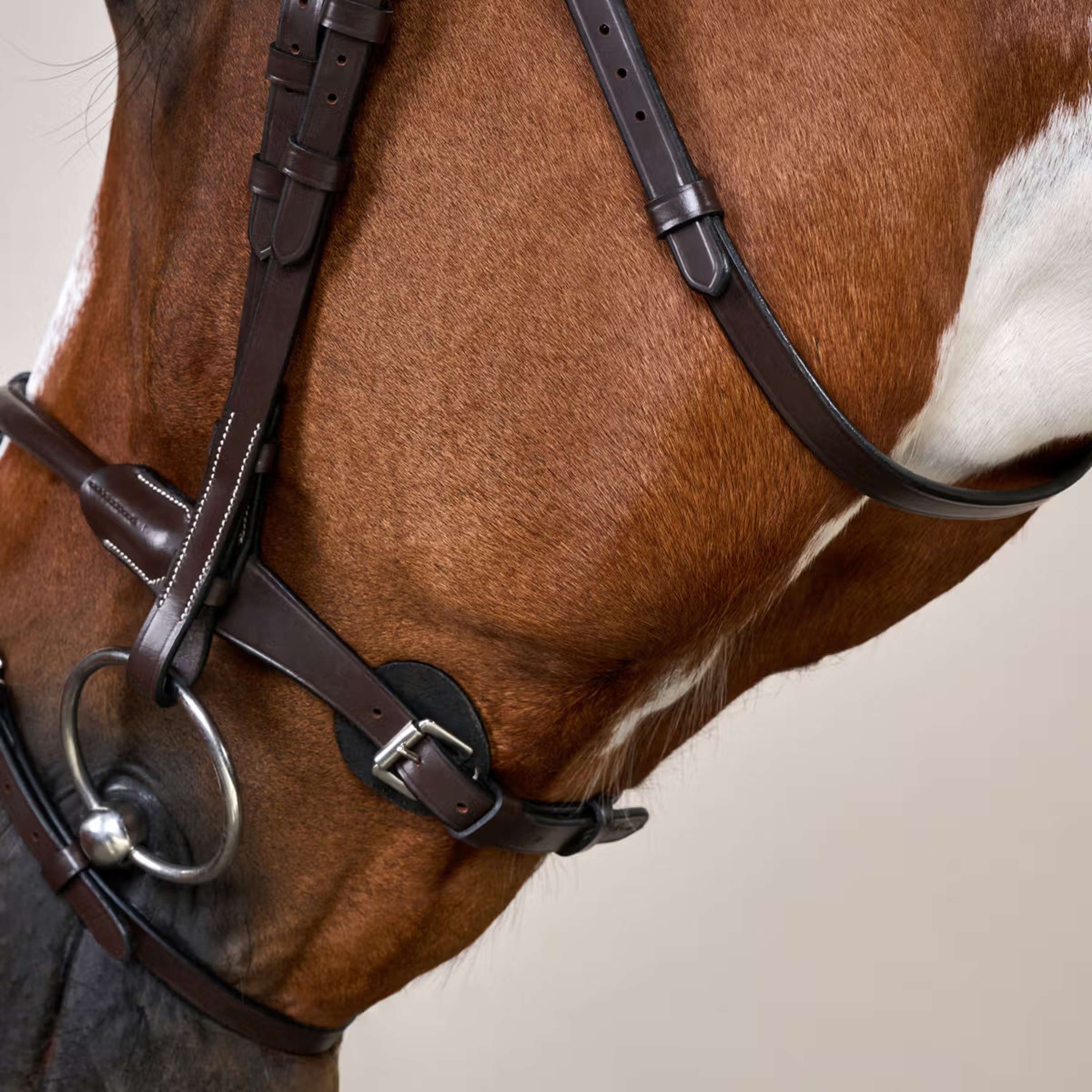 Dyon Bridle Round Leather Brown