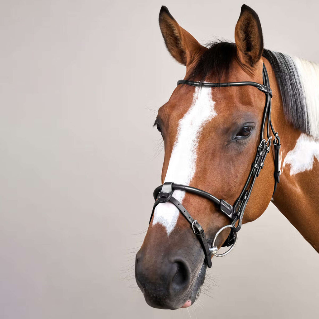 Dyon Bridle Round Leather Black