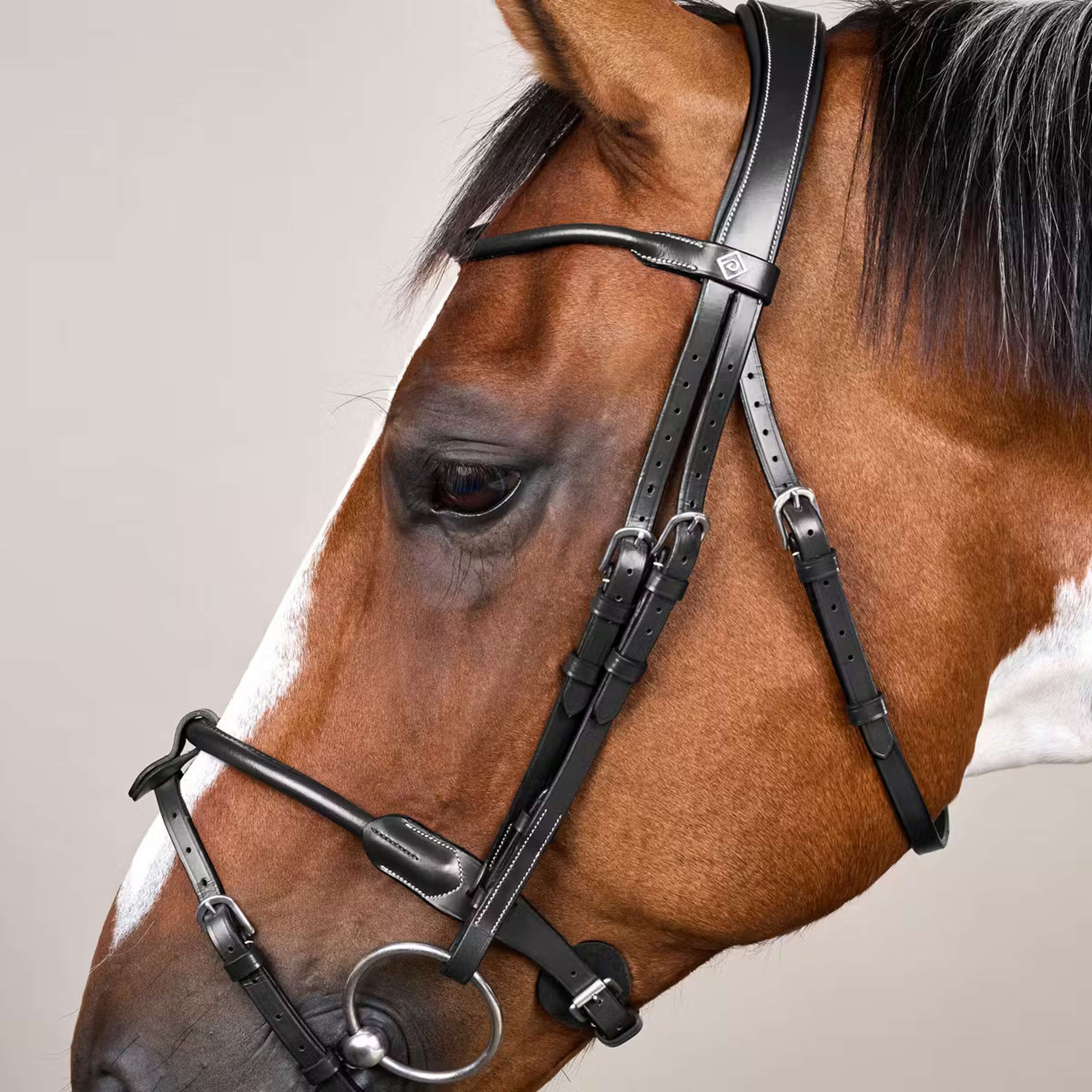 Dyon Bridle Round Leather Black