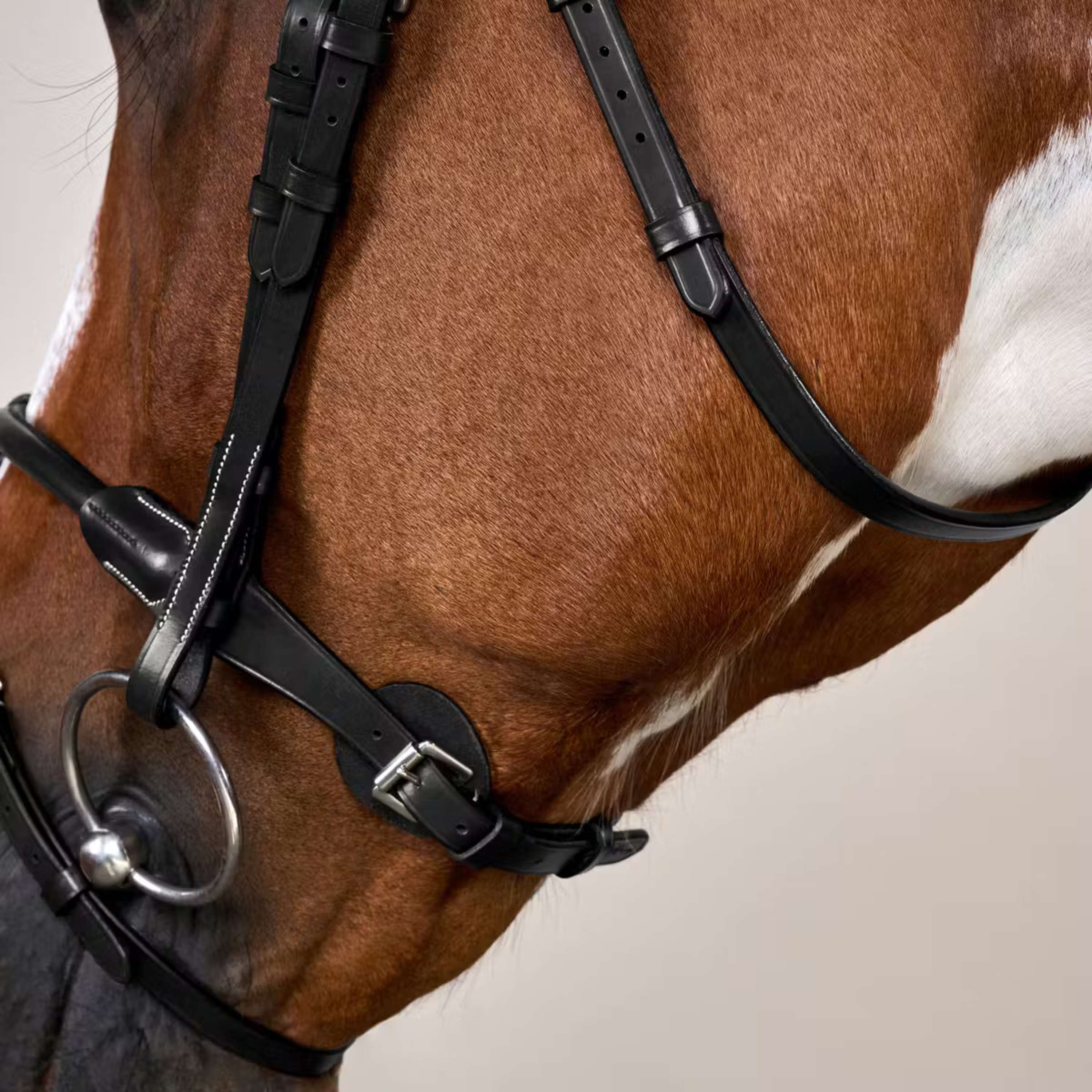 Dyon Bridle Round Leather Black