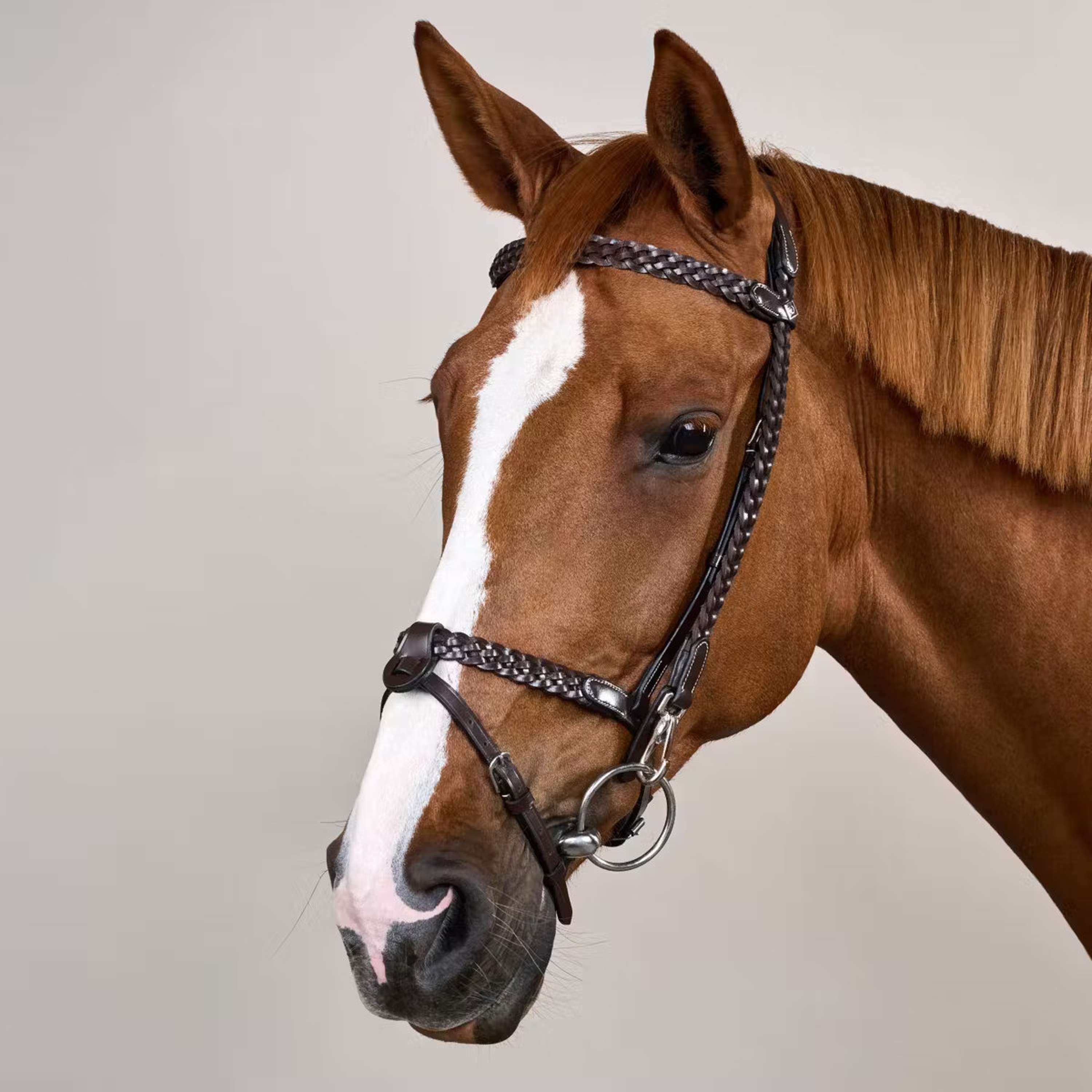 Dyon Bridle Training Brown