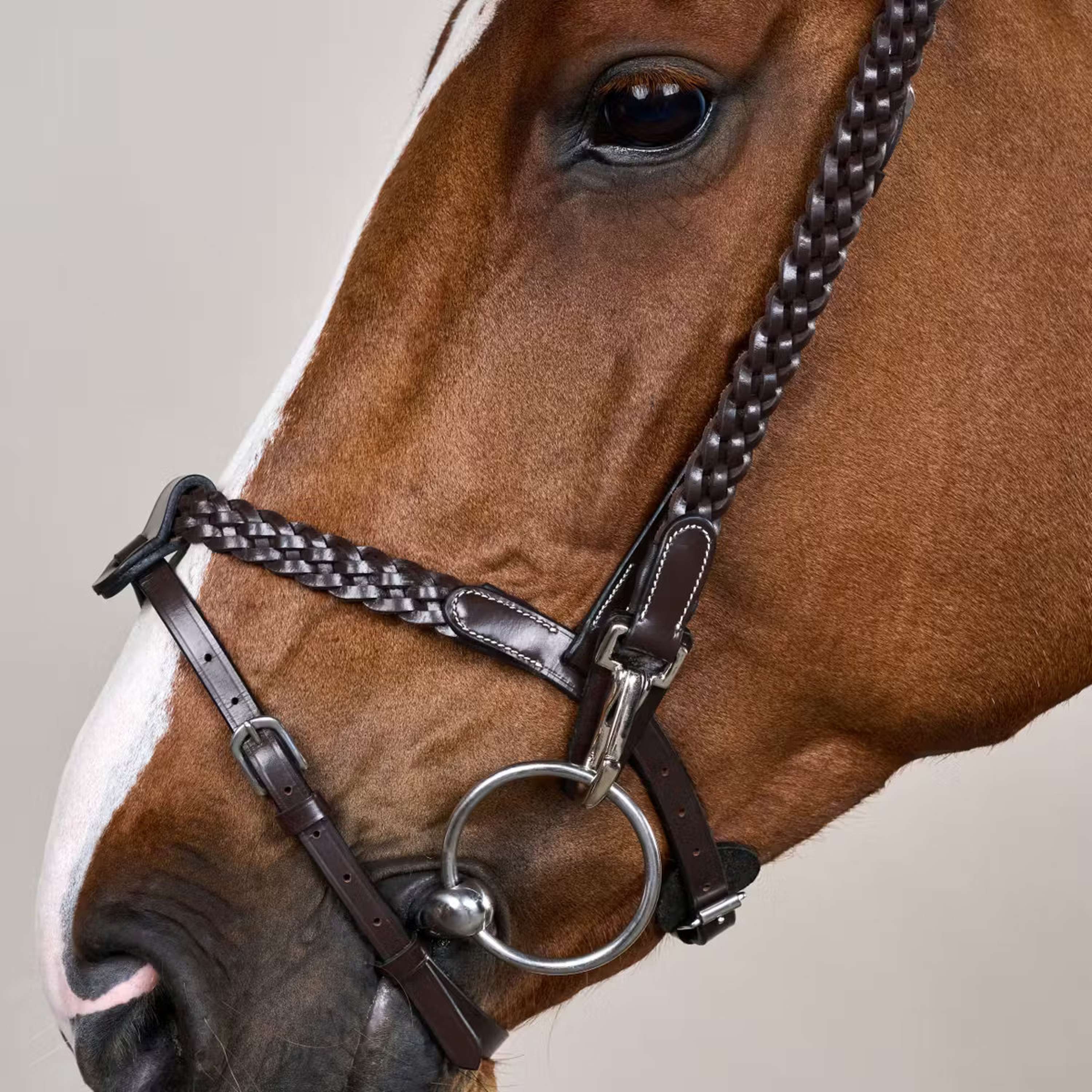 Dyon Bridle Training Brown