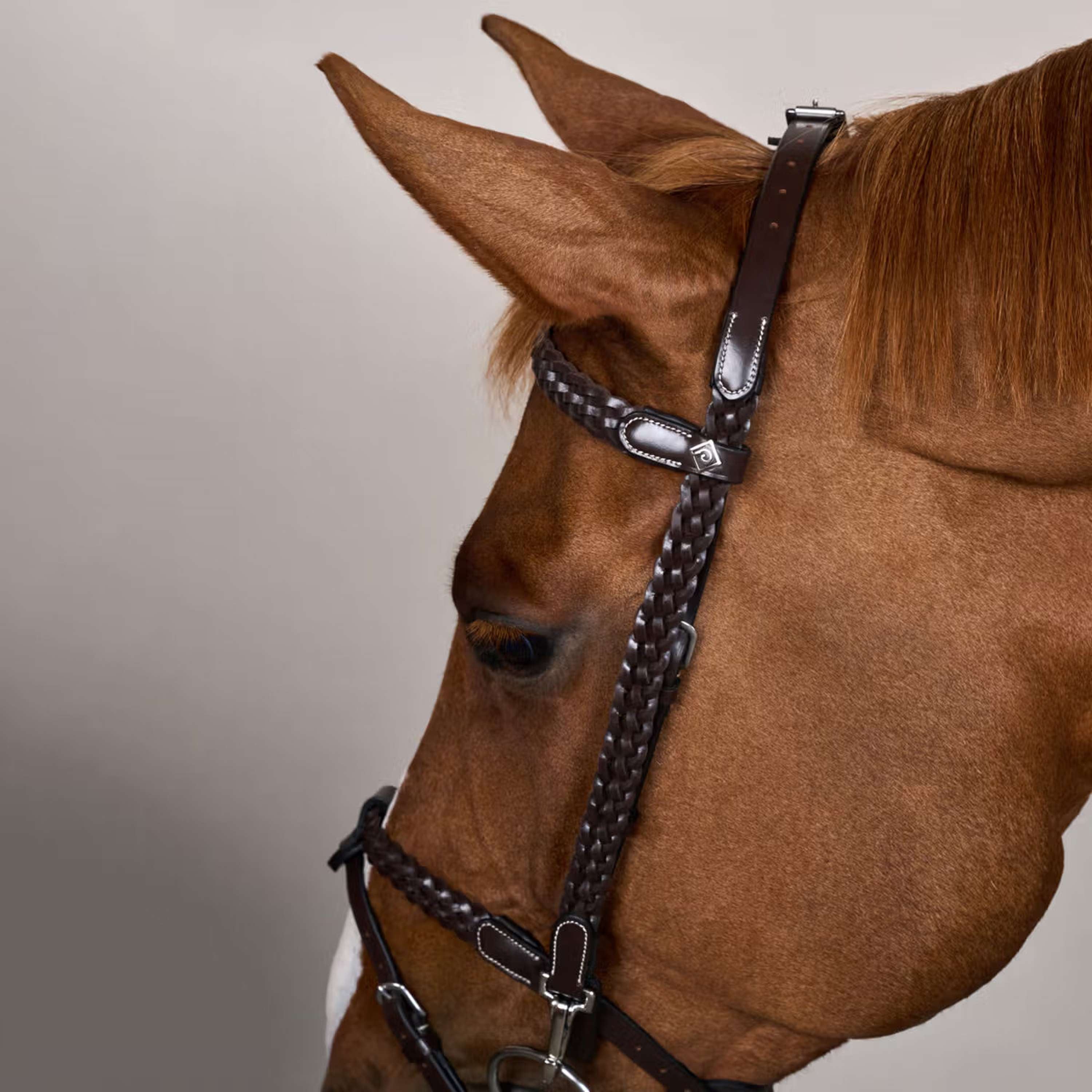 Dyon Bridle Training Brown