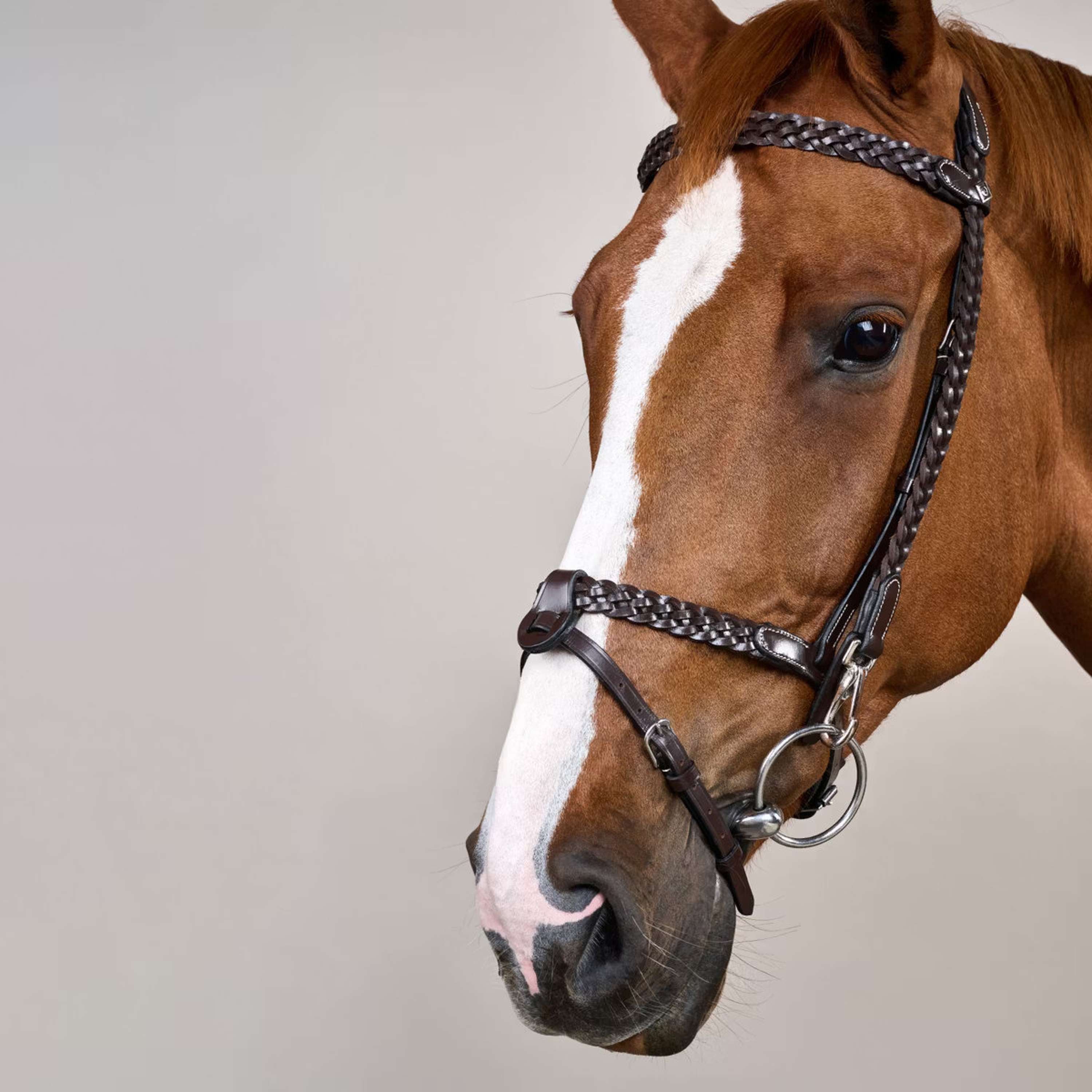 Dyon Bridle Training Brown