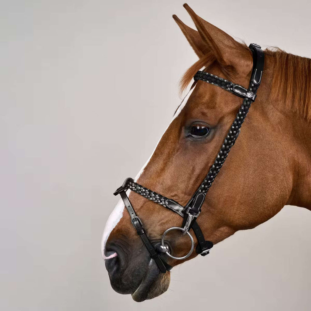 Dyon Bridle Training Black