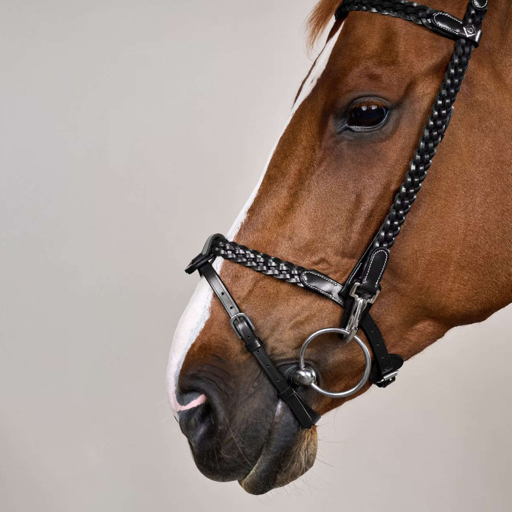 Dyon Bridle Training Black