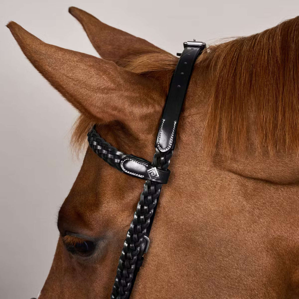 Dyon Bridle Training Black