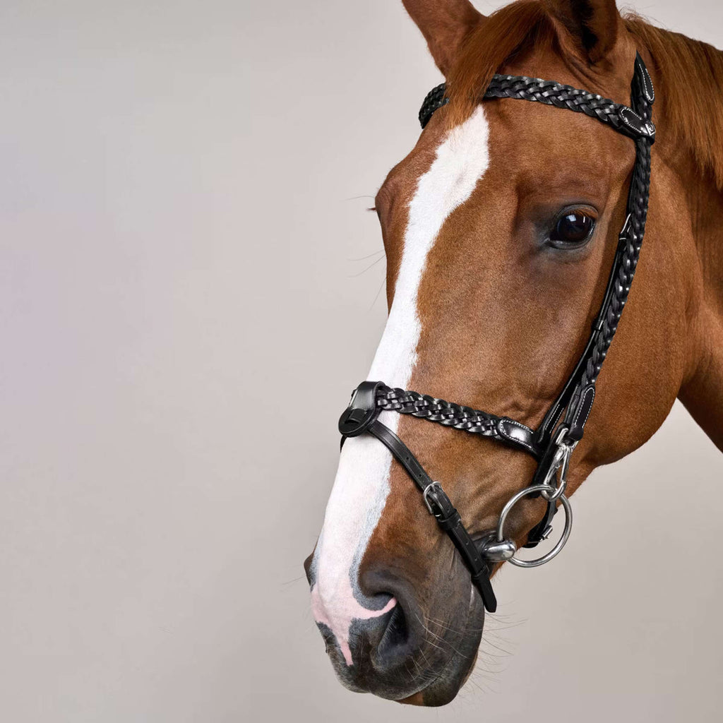 Dyon Bridle Training Black