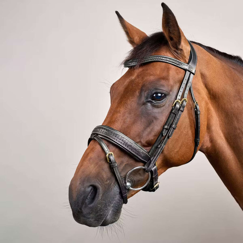 Dyon Bridle Pull-Back Woven Black