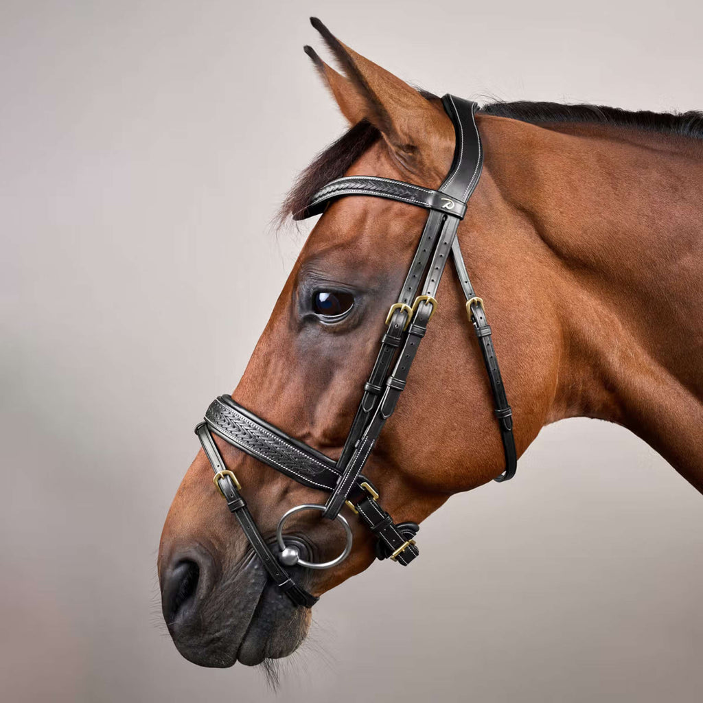 Dyon Bridle Pull-Back Woven Black