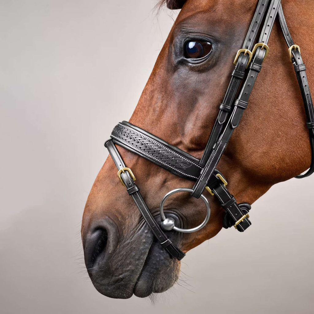 Dyon Bridle Pull-Back Woven Black