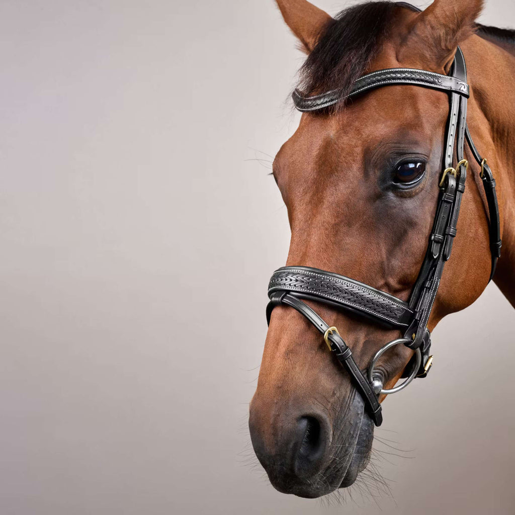 Dyon Bridle Pull-Back Woven Black