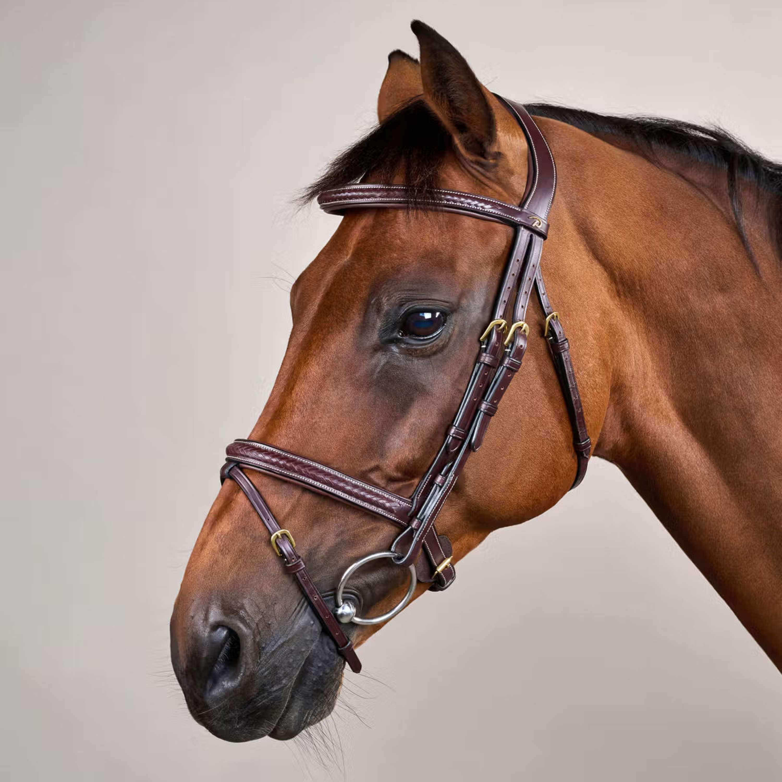 Dyon Bridle Woven Brown