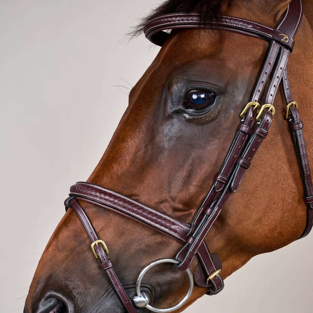 Dyon Bridle Woven Brown