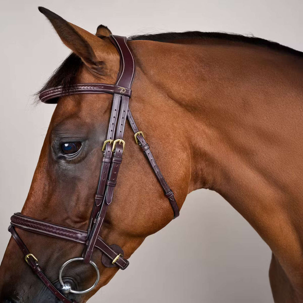 Dyon Bridle Woven Brown