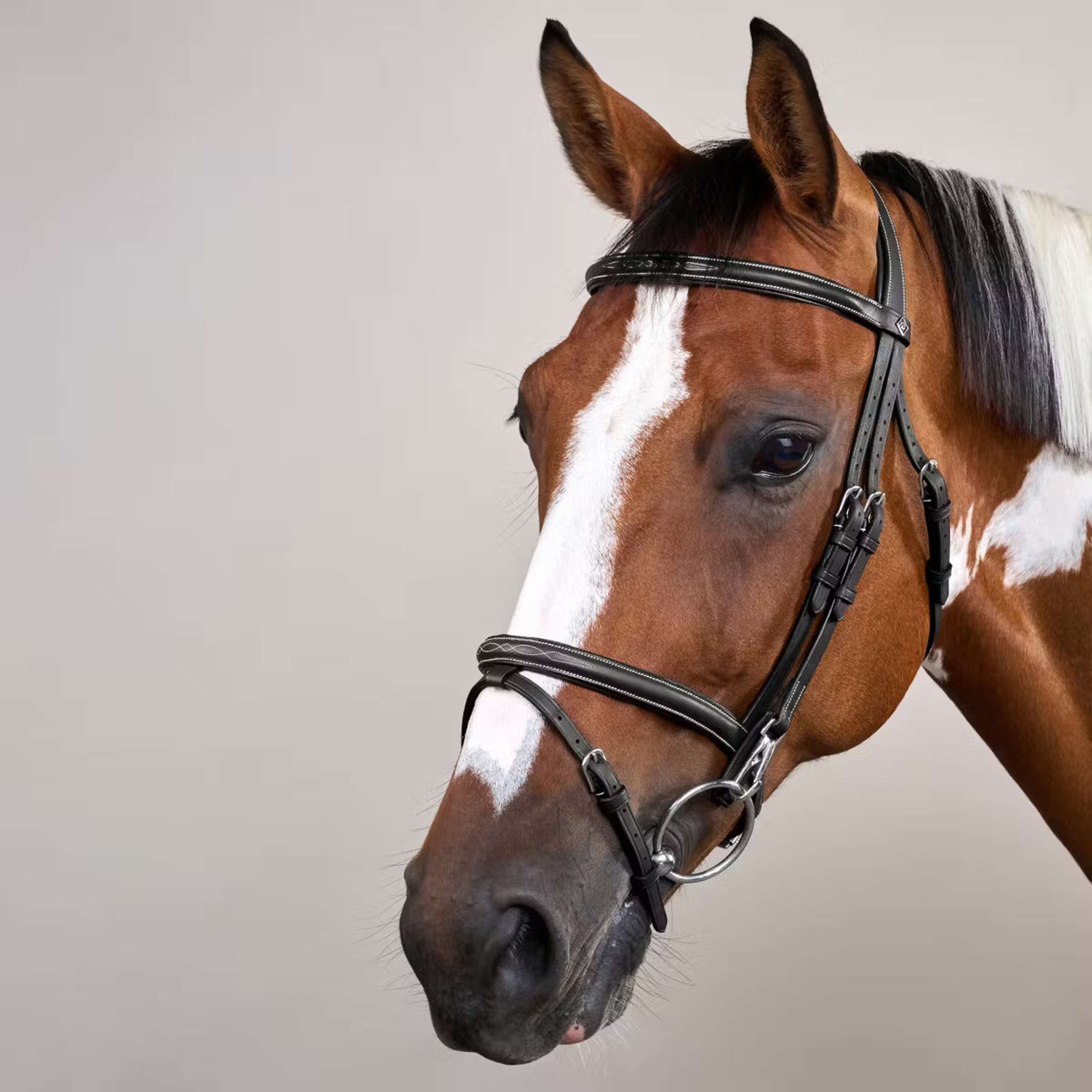 Dyon Bridle Flash with Clips Black