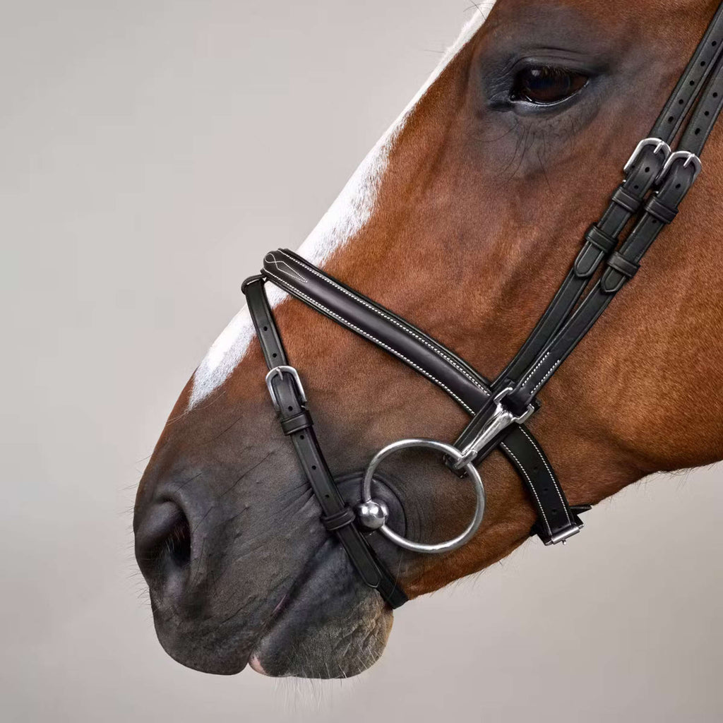 Dyon Bridle Flash with Clips Black