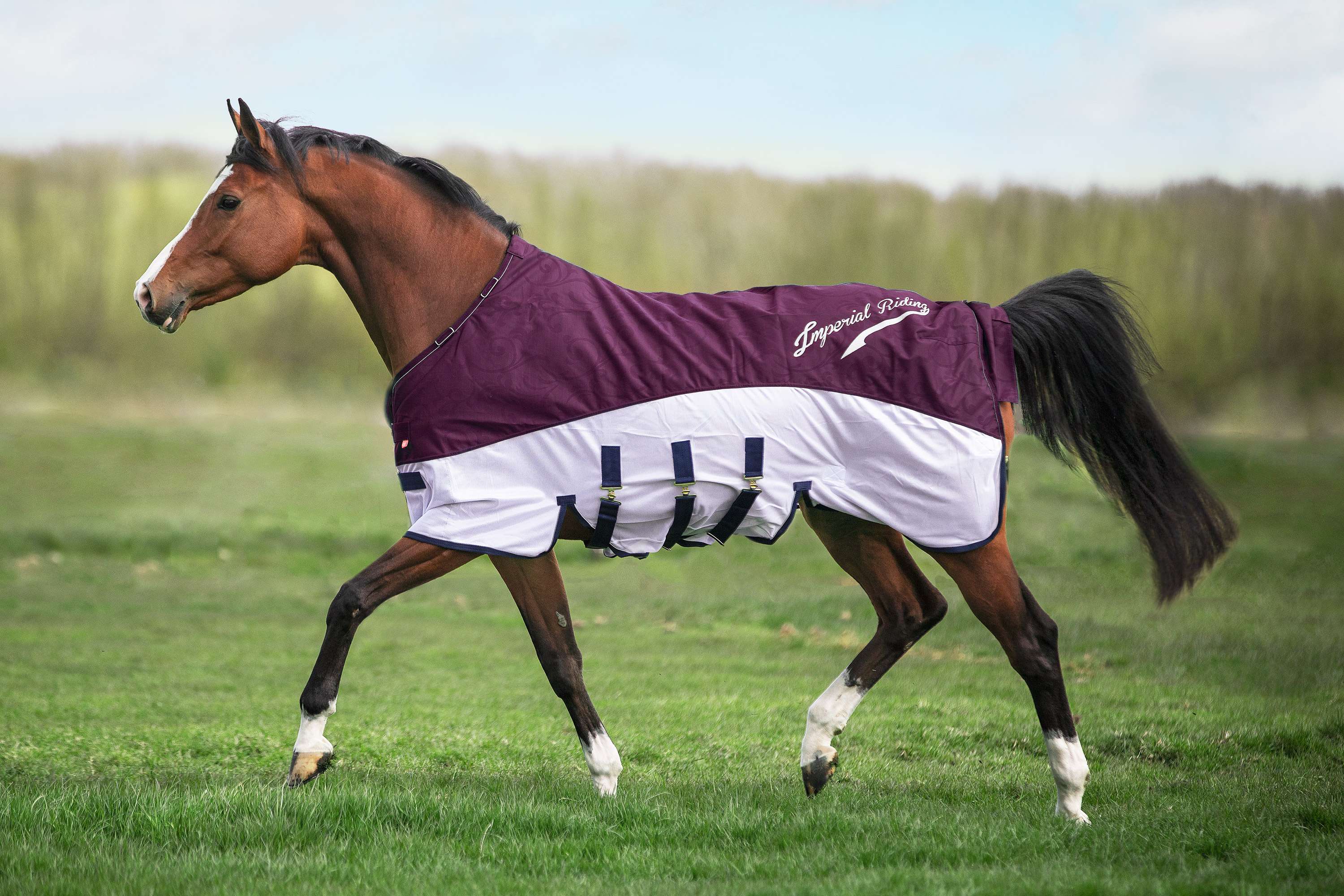 Imperial Riding Fly and Rain Blanket IRHSuper-Dry Bordeaux