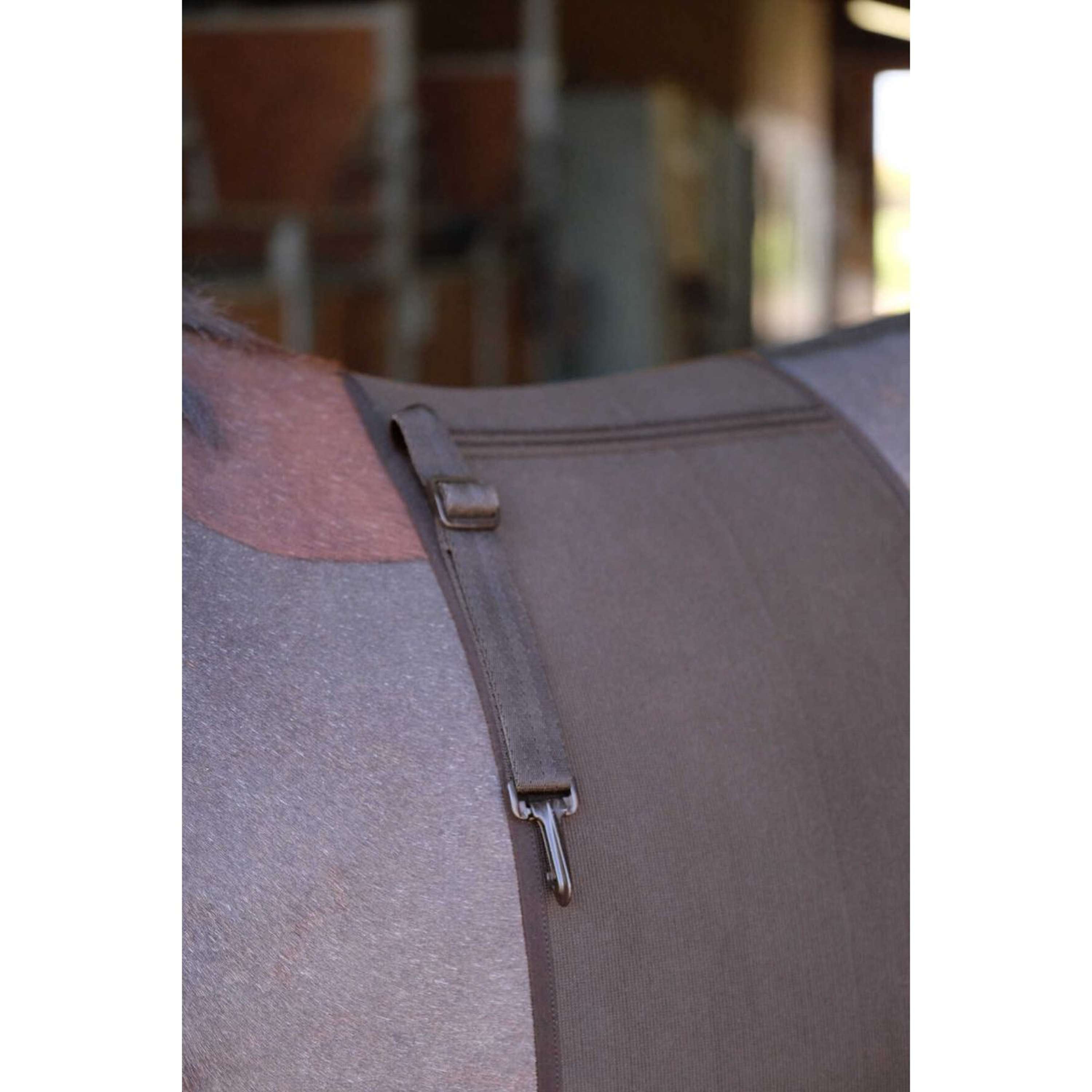 Norton Belly Band Brown