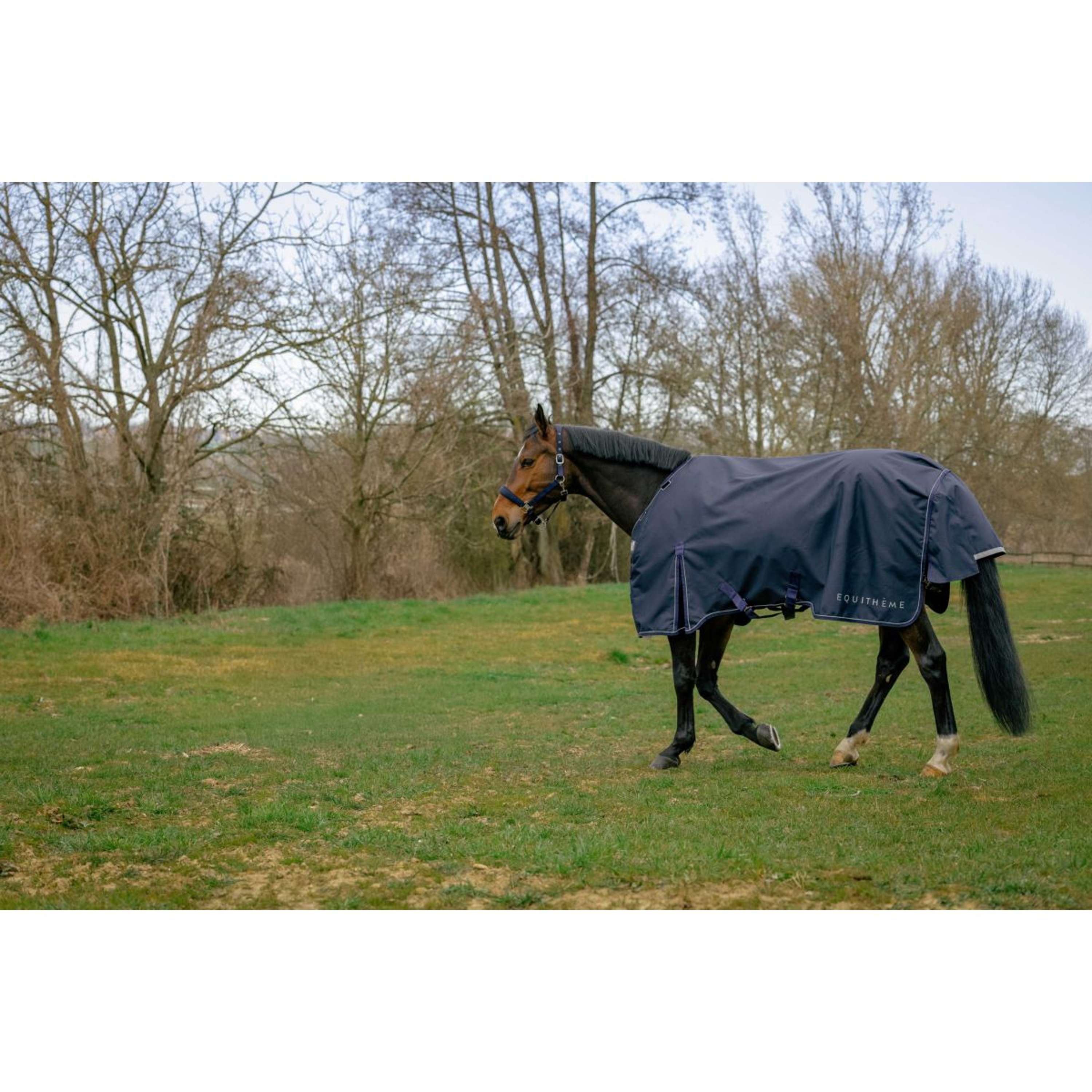 EQUITHÈME Outdoor Rug Anatomic 1200D 200g Navy