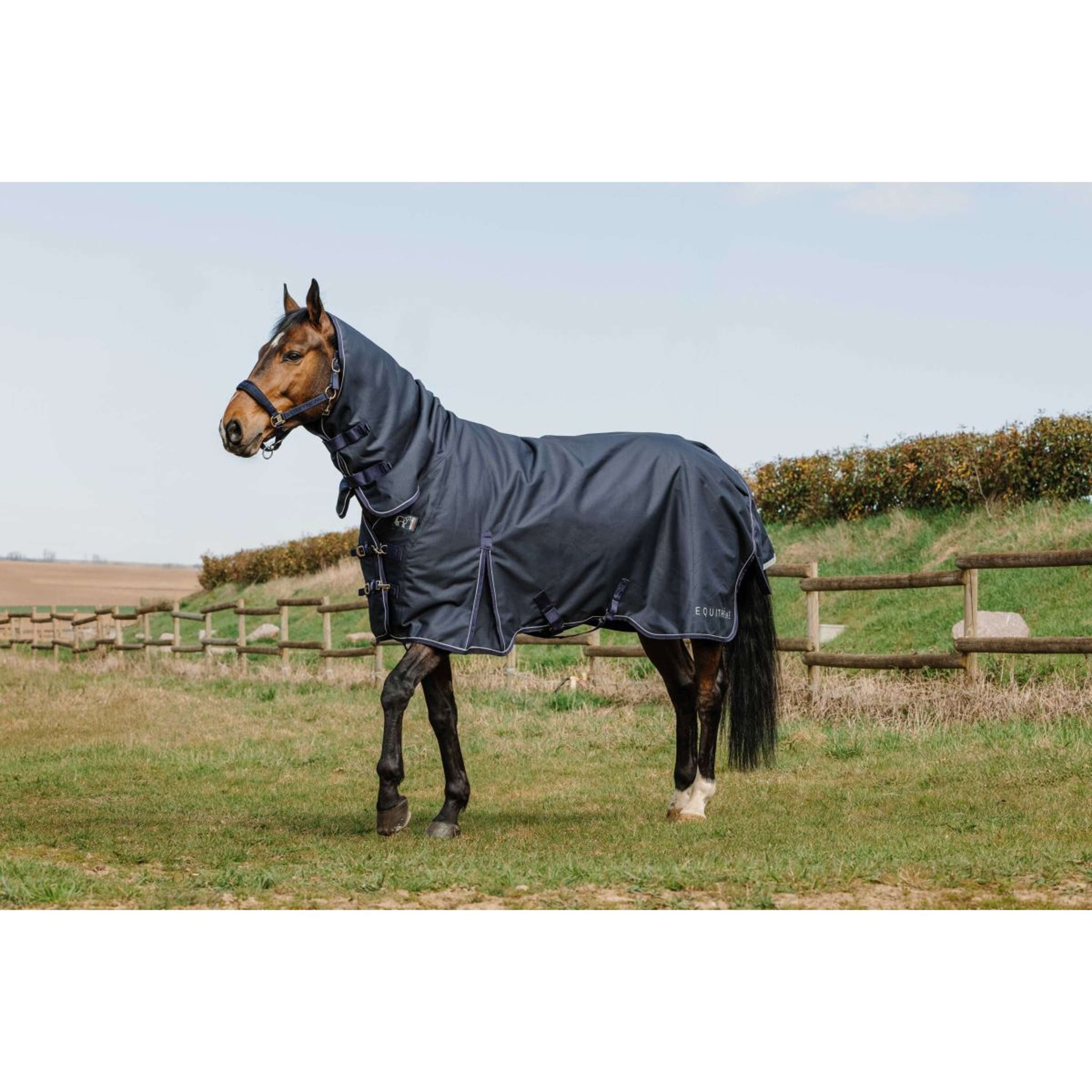 EQUITHÈME Outdoor Rug Anatomic Combi 1200D 50g Navy