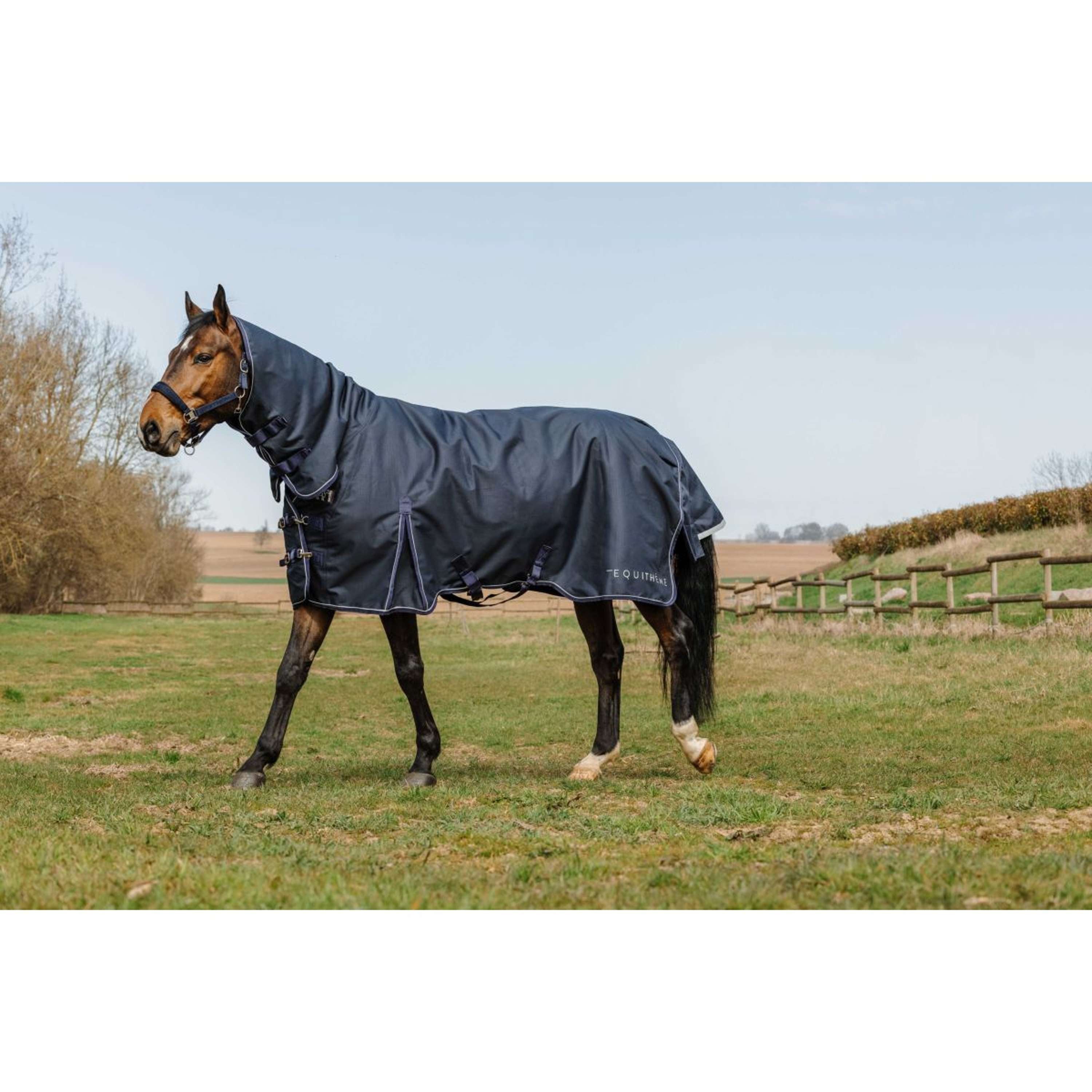 EQUITHÈME Outdoor Rug Anatomic Combi 1200D 50g Navy