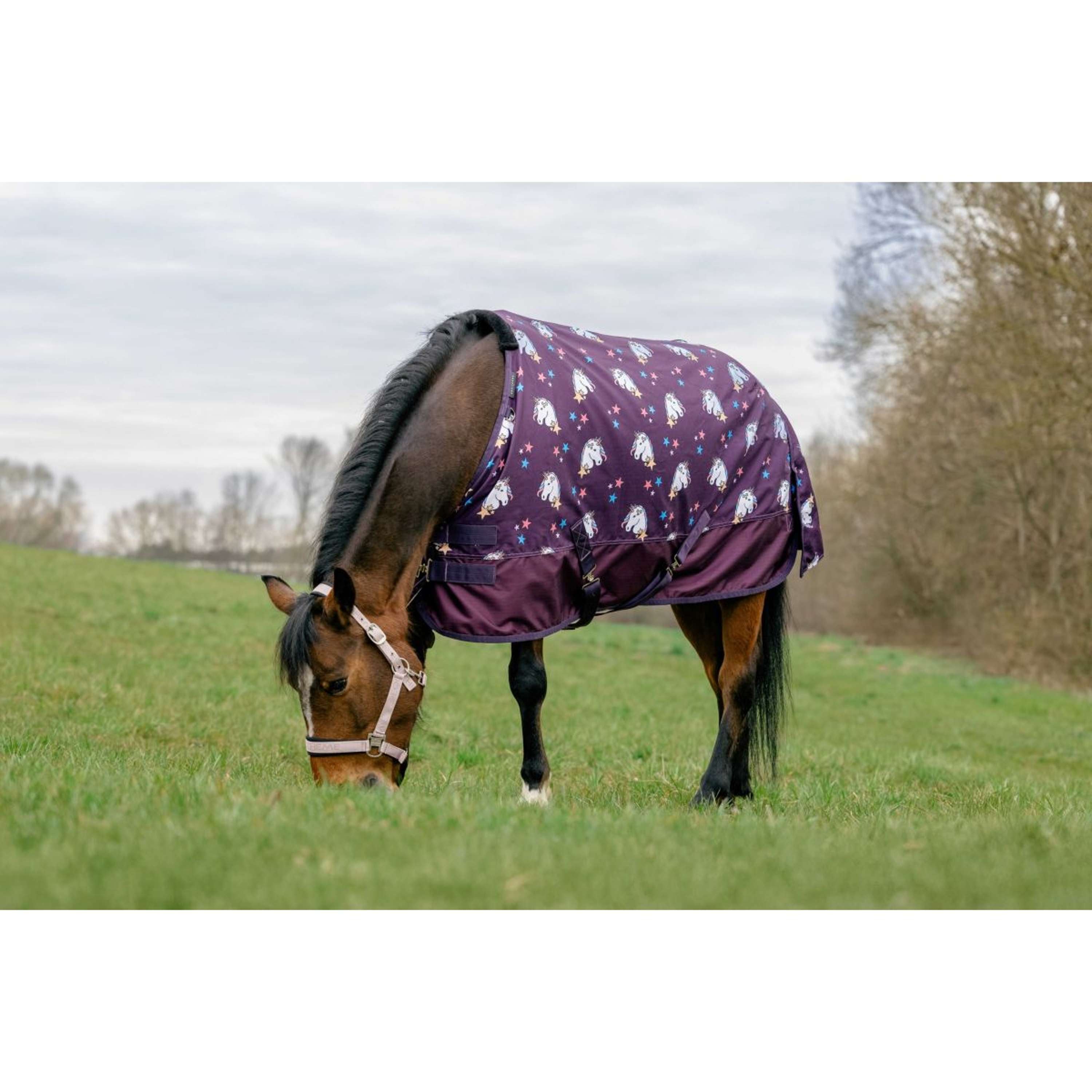EQUITHÈME Turnout Rug Unicorn 600D 0g Plum