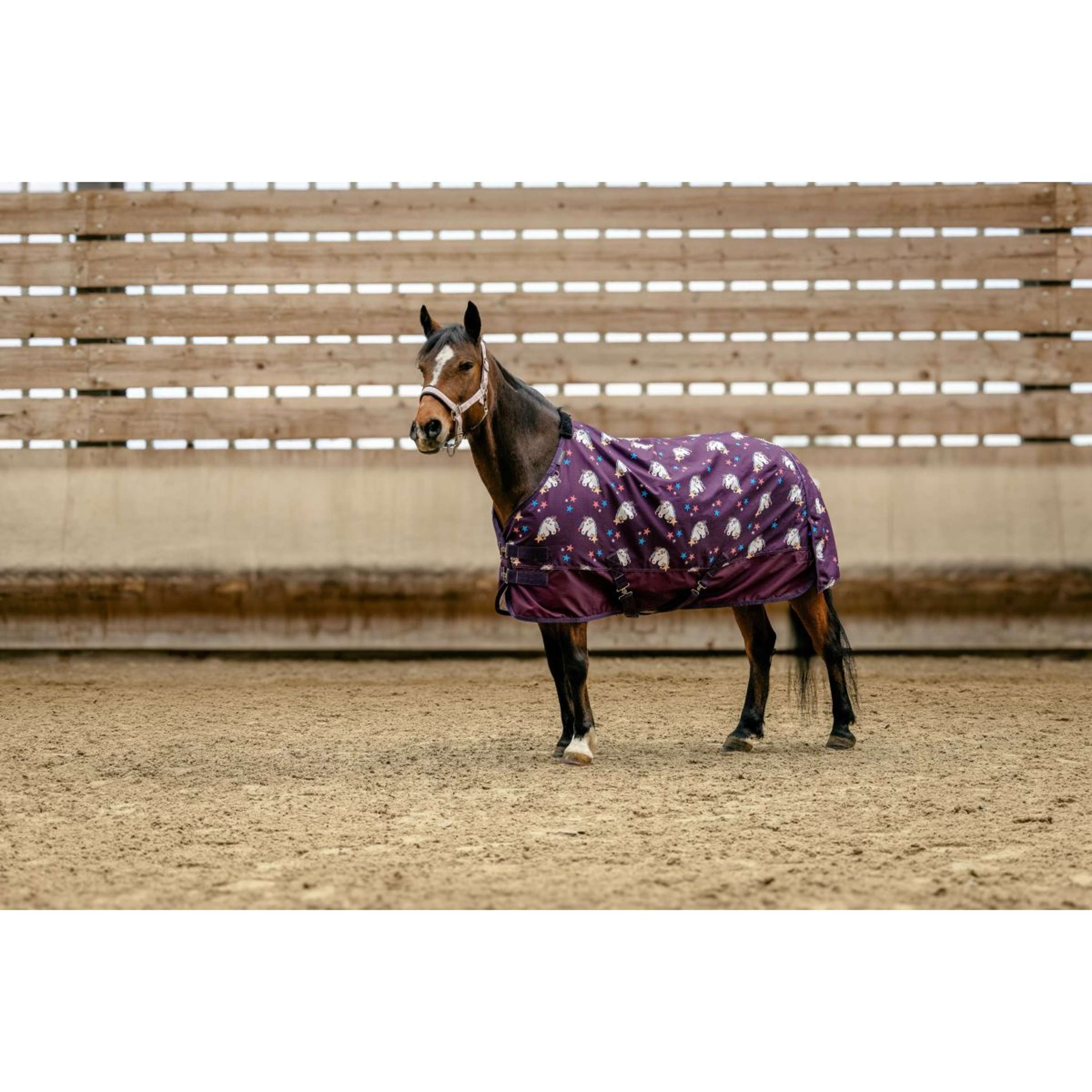 EQUITHÈME Turnout Rug Unicorn 600D 0g Plum