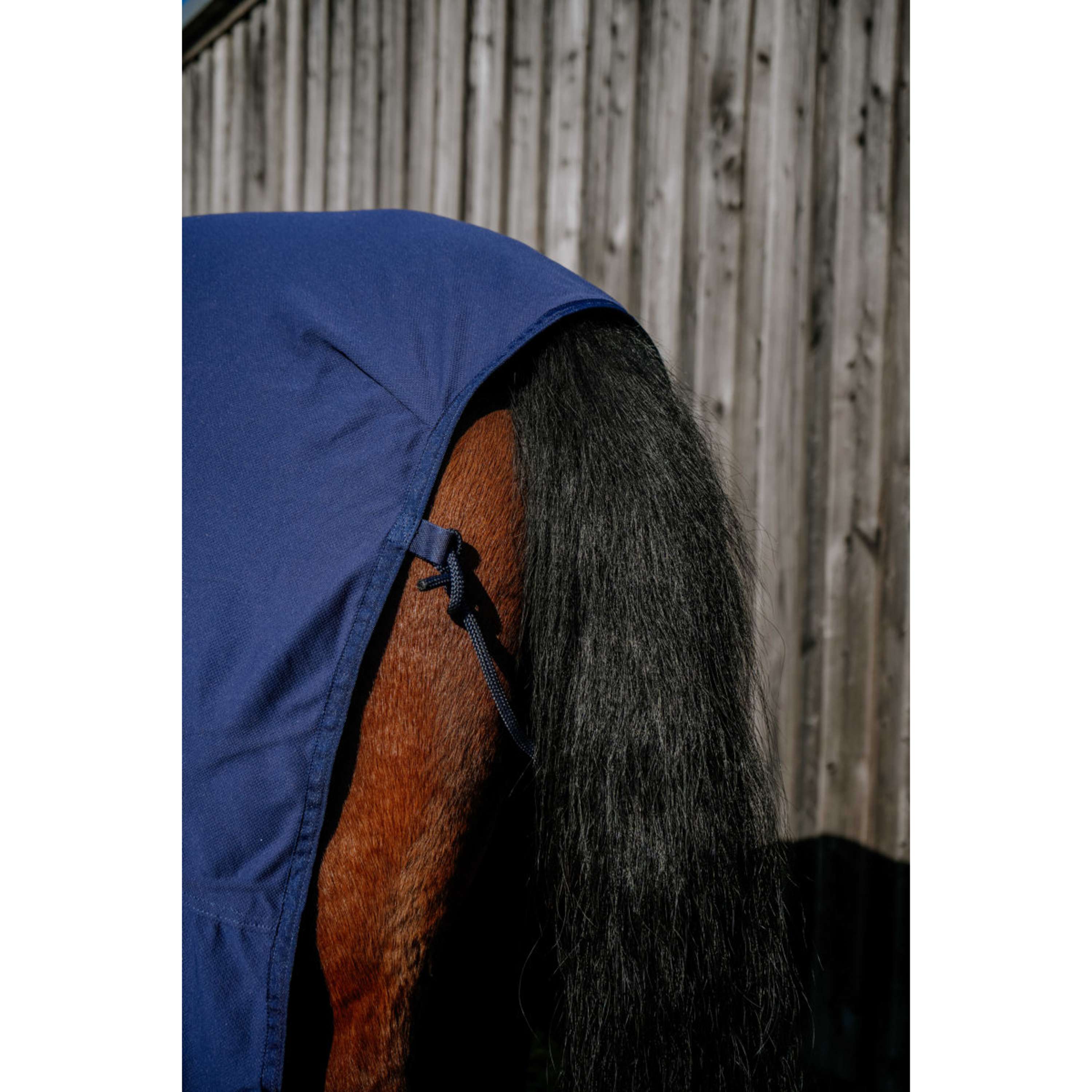 EQUITHÈME Cooling Blanket Cool& Dry Fresh Combo NavyBlue