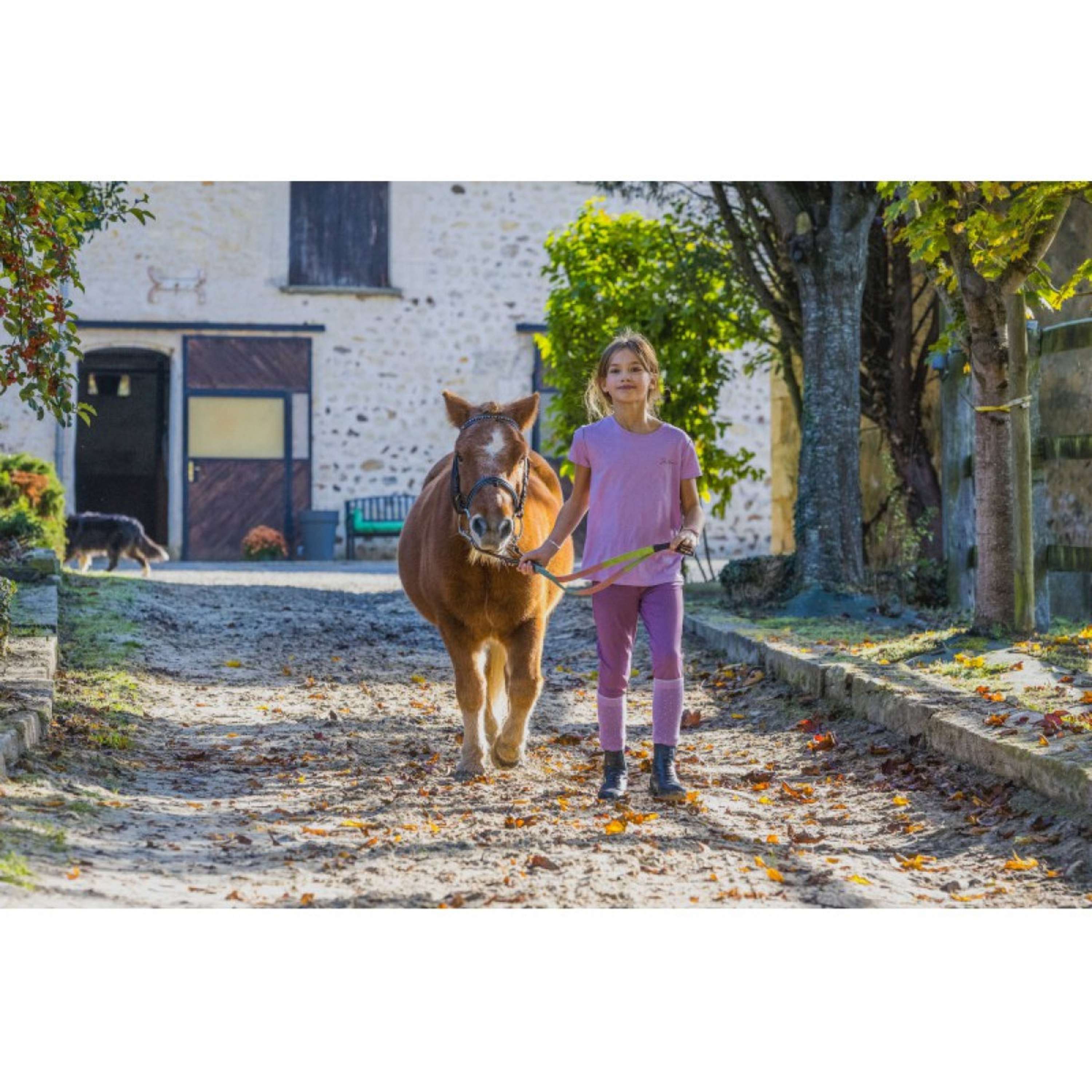 EQUITHÈME T-Shirt Bonnie Kids Purple