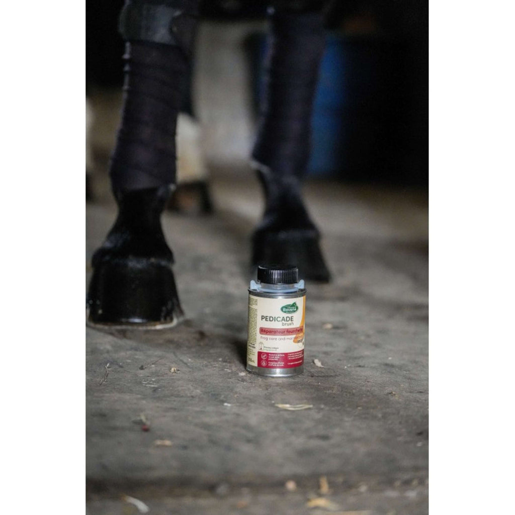Ravene Pedicade Brush For Horse Hoofs