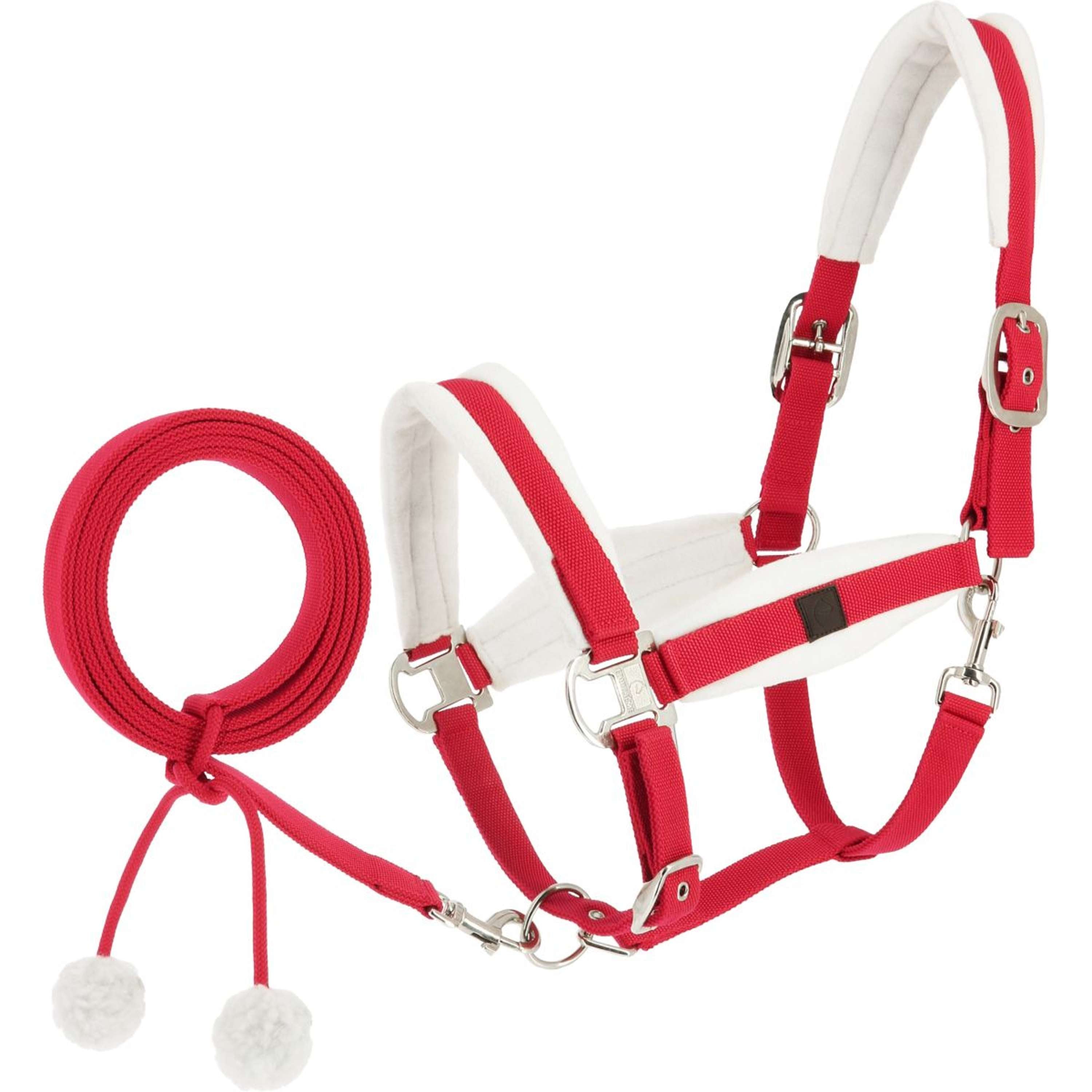 EQUITHÈME Halter Set Christmas Red