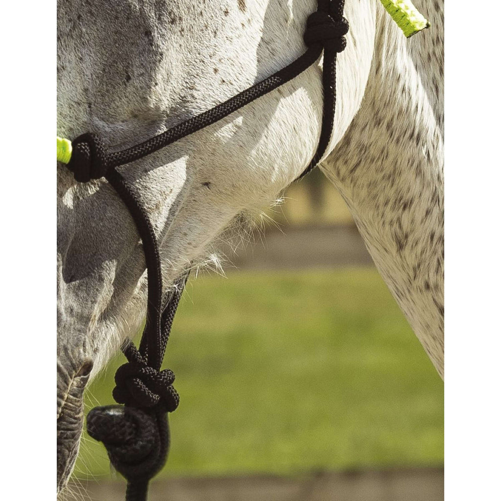 Norton Rope Halter Set Fun Colour Ethologically Black/Neon Green