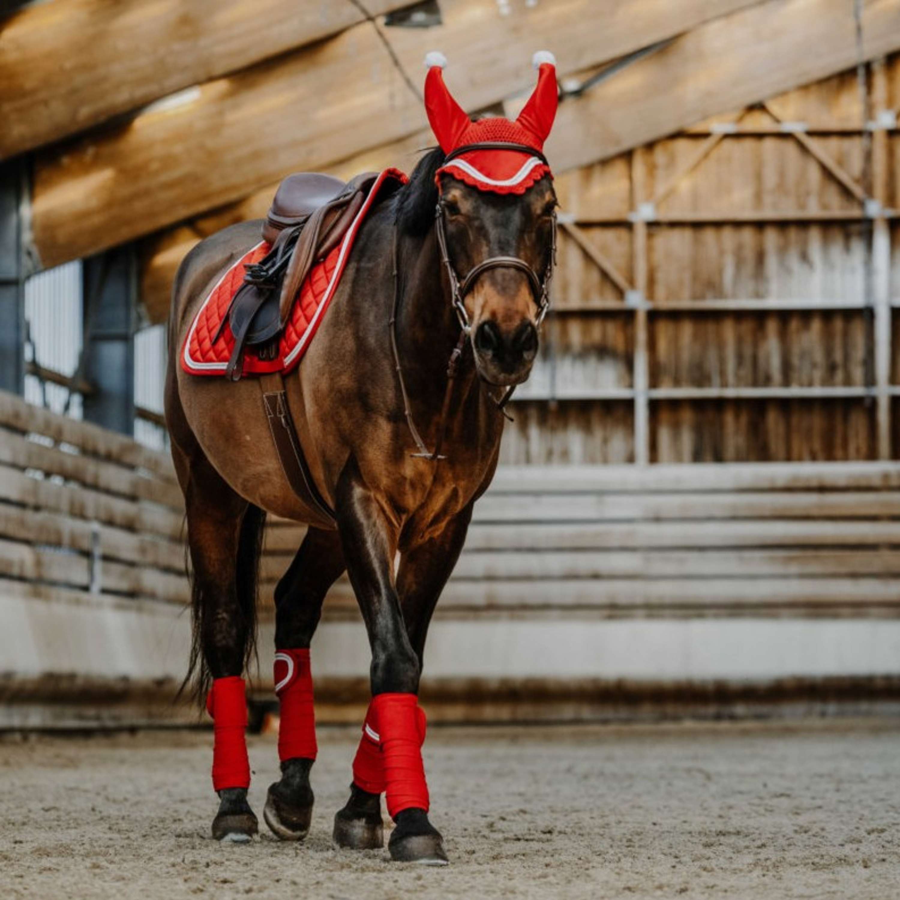 EQUITHÈME Bandages Christmas Red