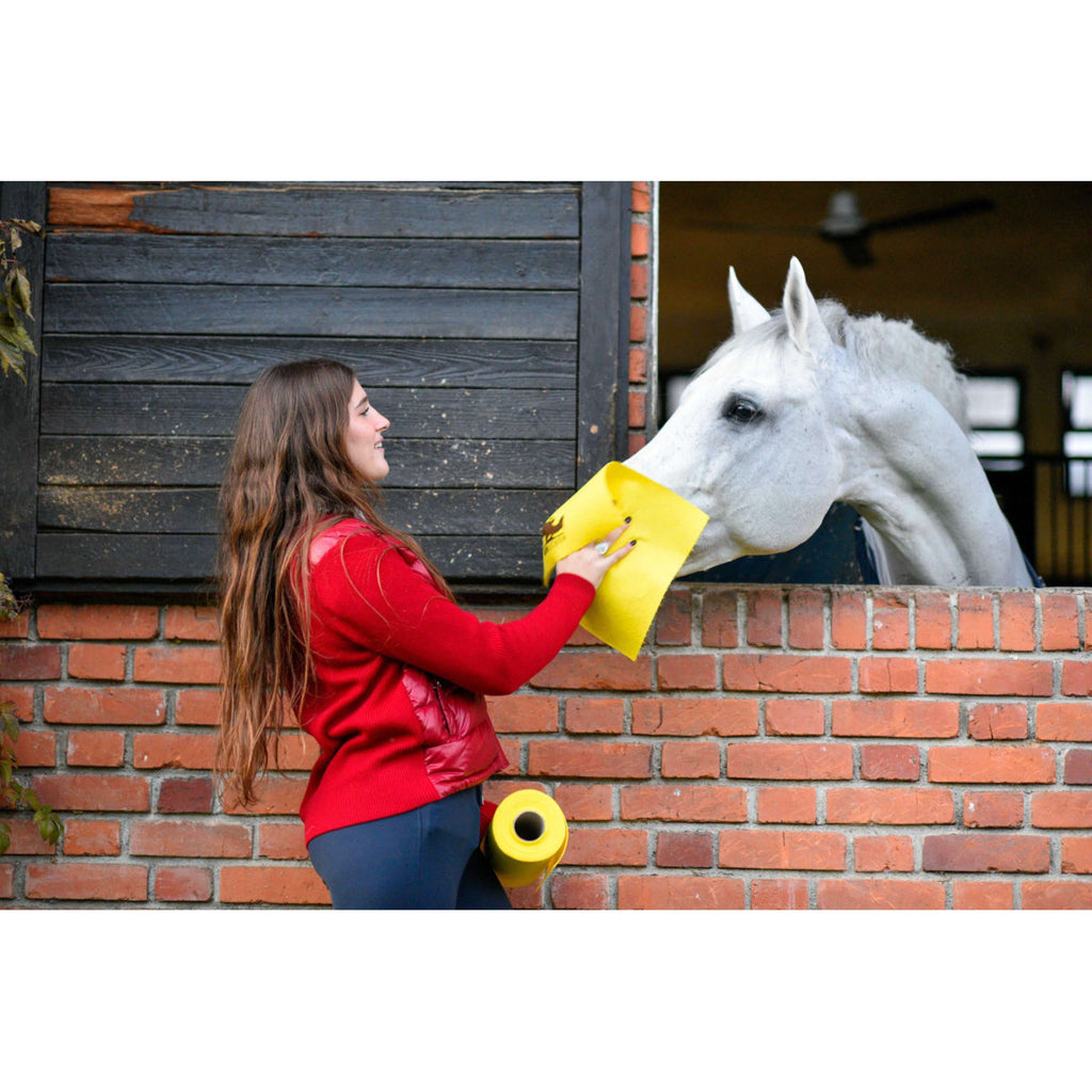 Horsewipe Cleaning Cloth Roll Yellow