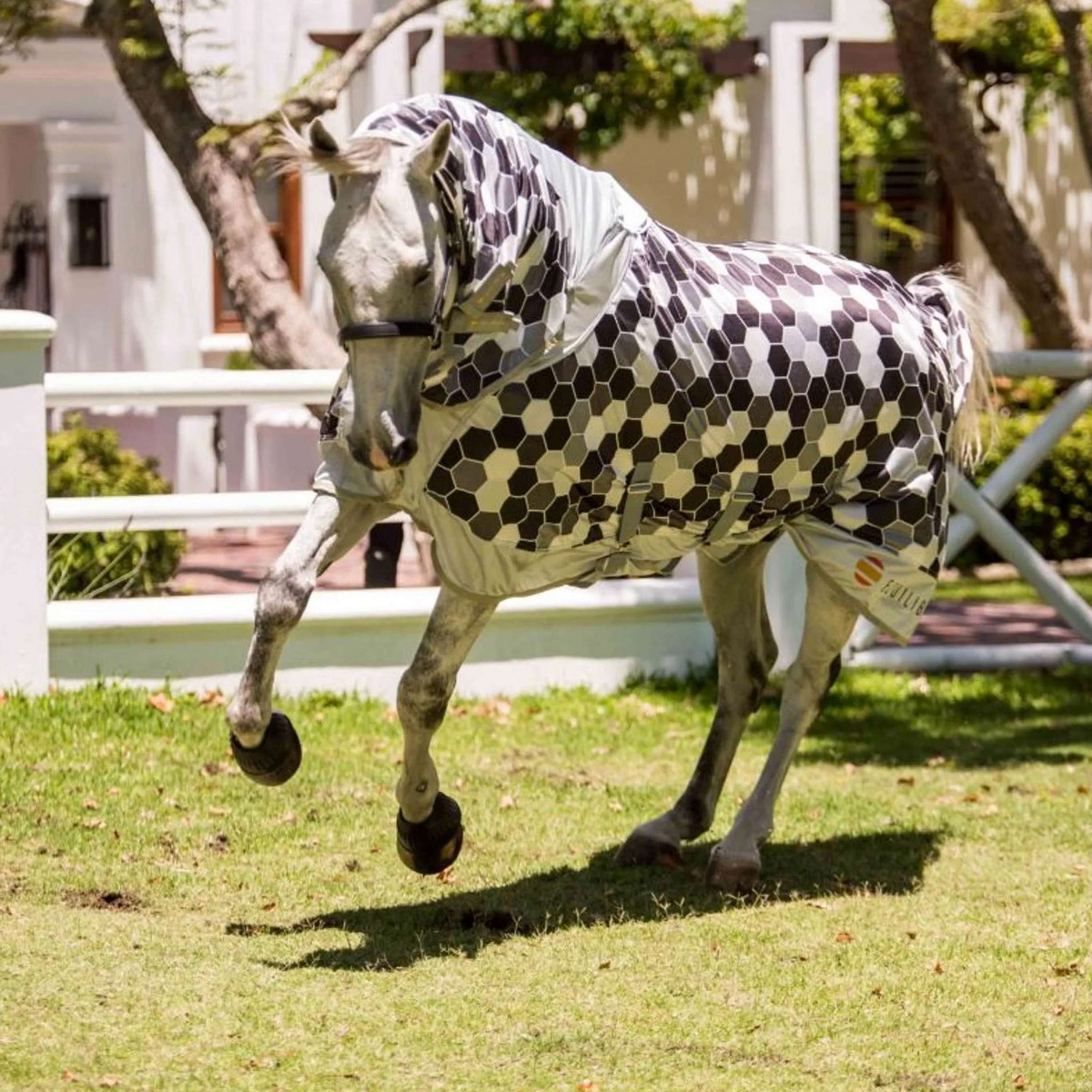 Equilibrium Fly Rug Field Relief Grey