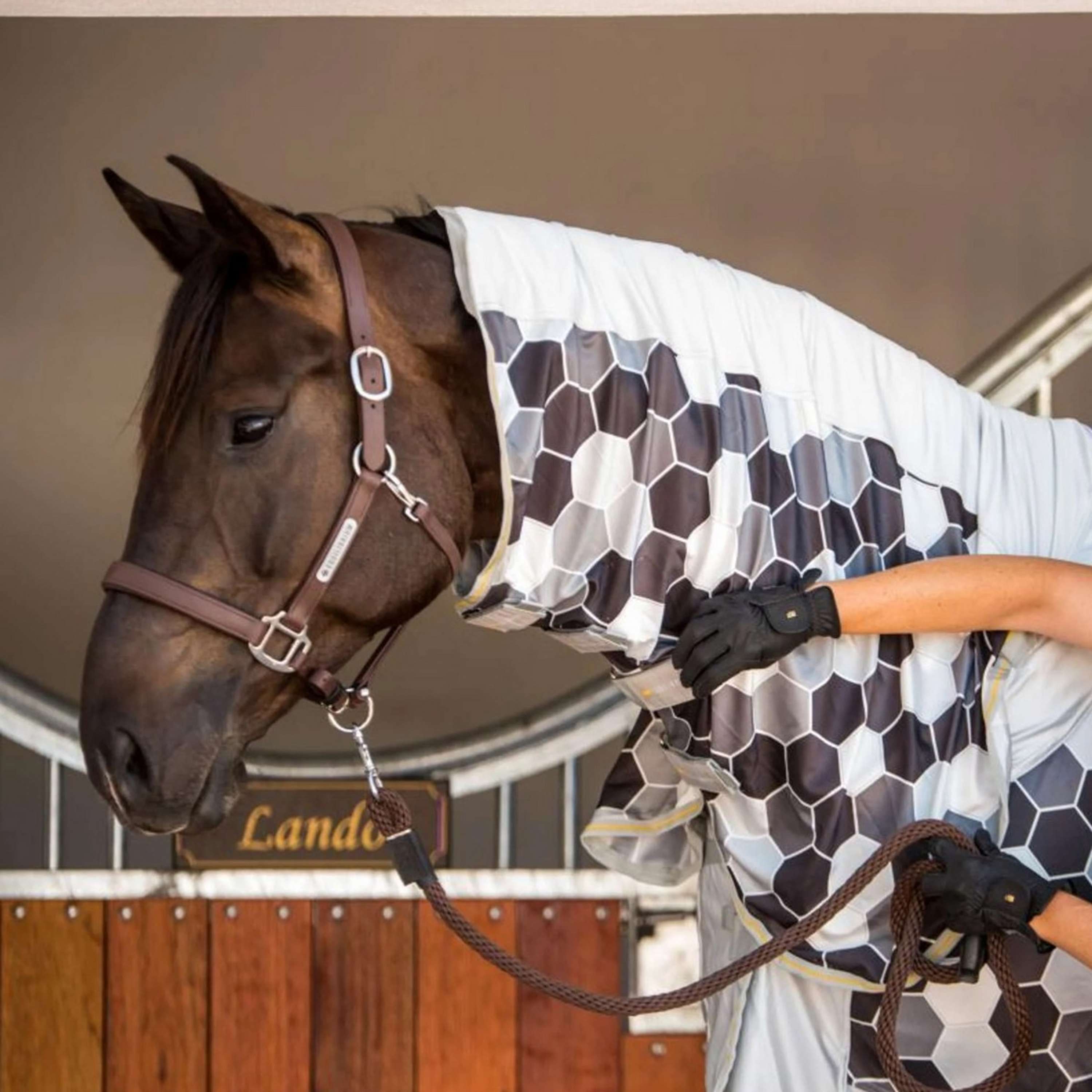 Equilibrium Fly Rug Field Relief Grey