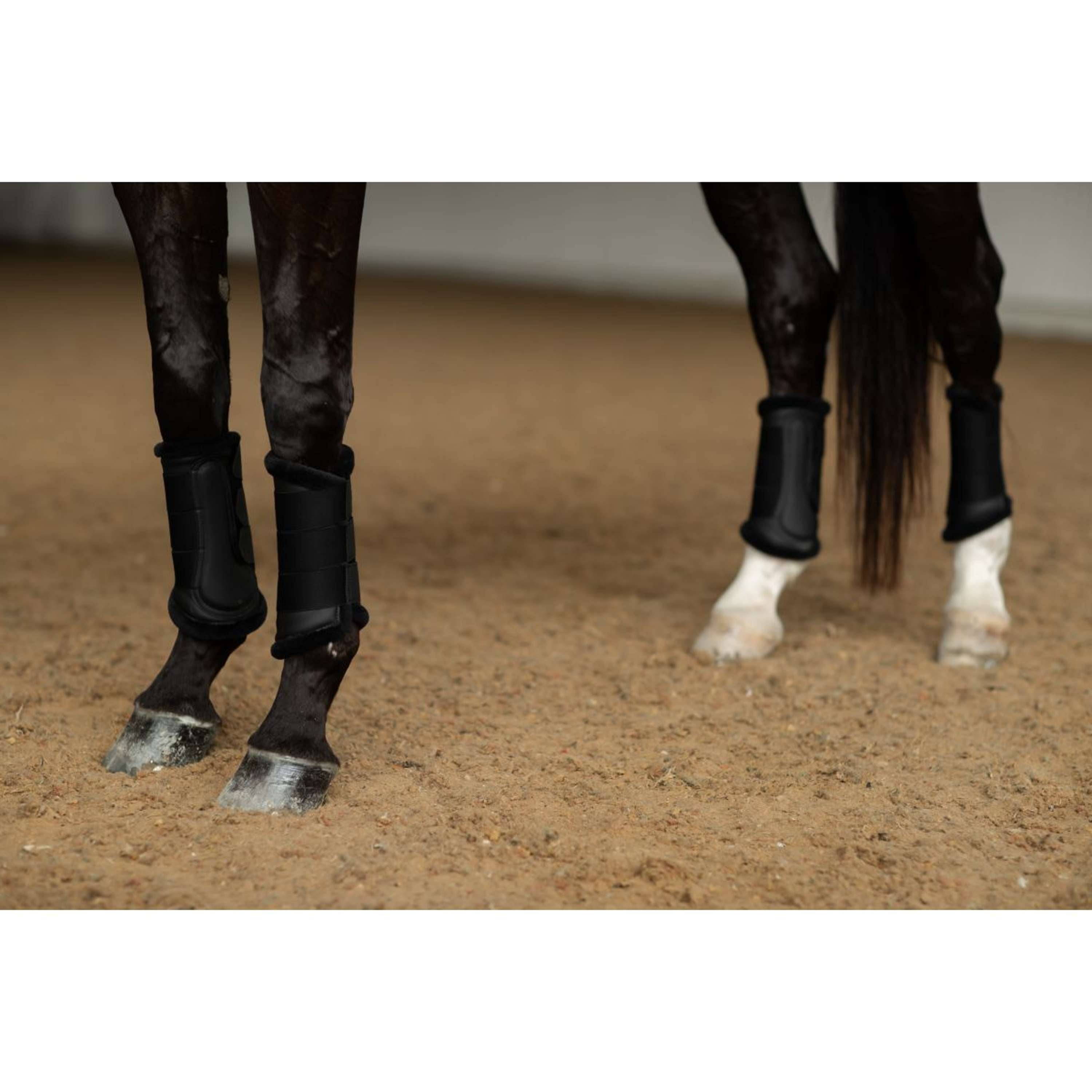 Equestrian Stockholm Leg Protectors Black