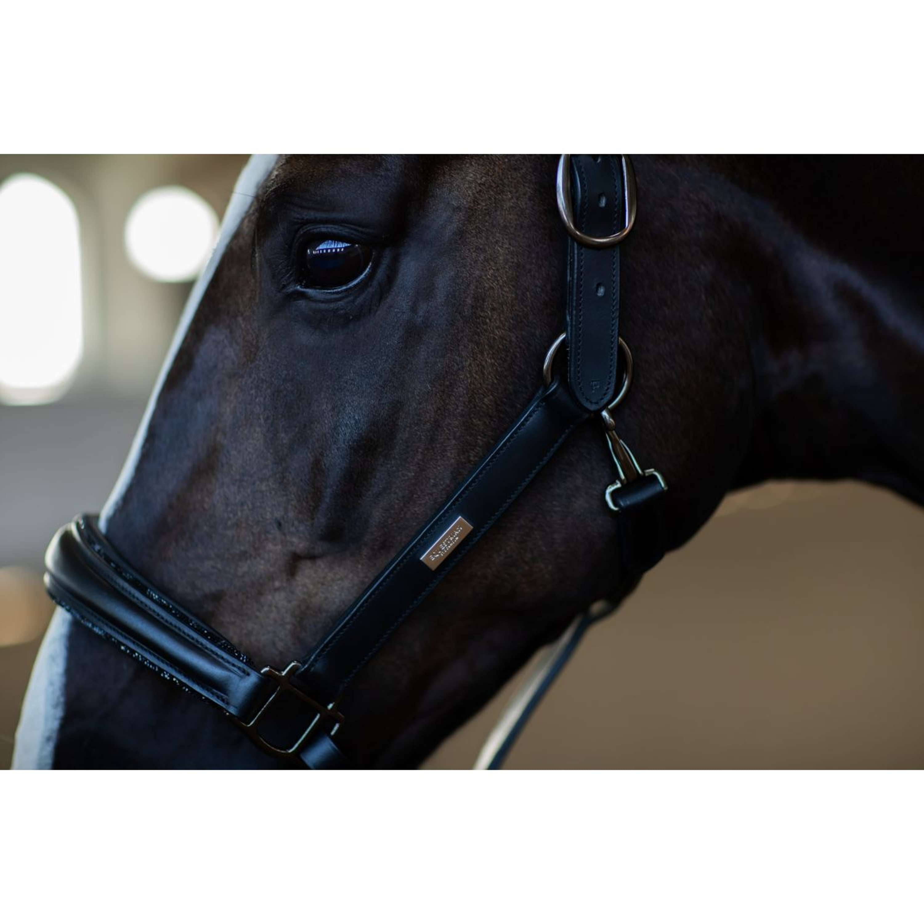 Equestrian Stockholm Halter Glimmer Anatomic Leather Black