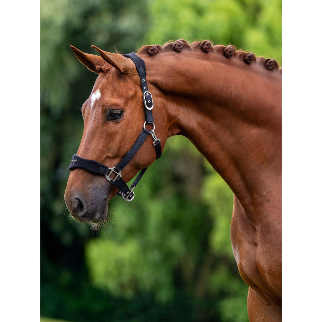 Equestrian Stockholm Halter Anatomic Fleece Black