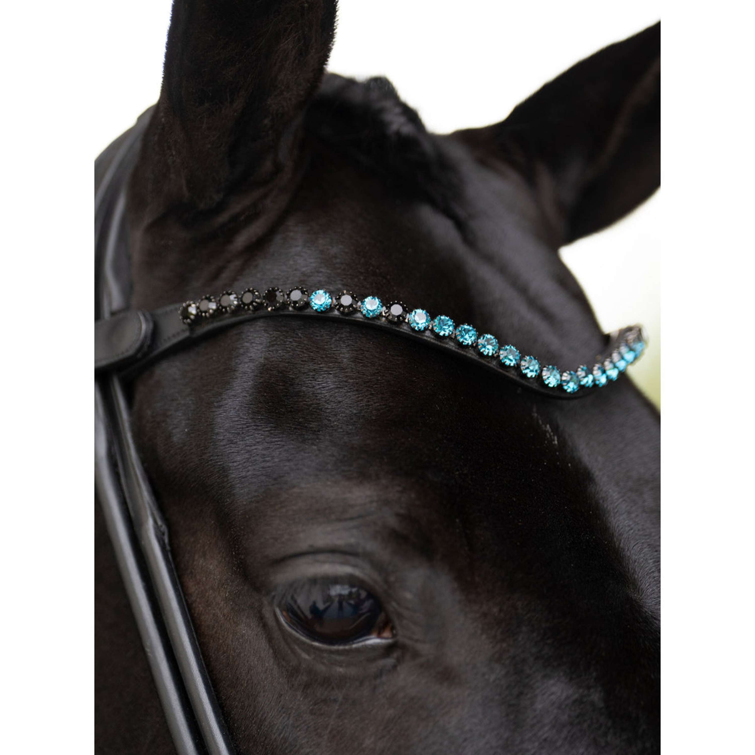 Equestrian Stockholm Browband Faded 8mm Blue Meadow