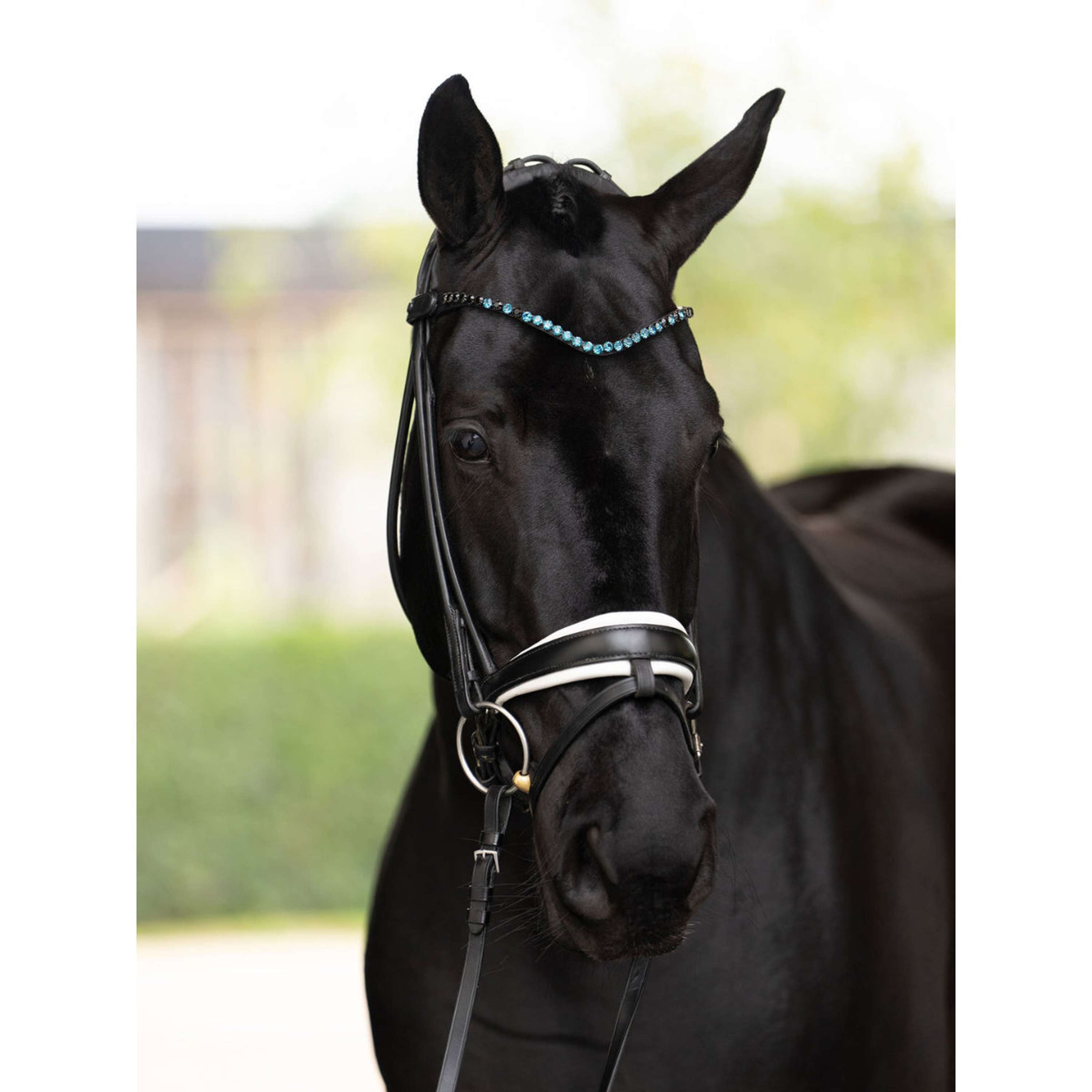 Equestrian Stockholm Browband Faded 8mm Blue Meadow